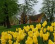 First Church in Pella,IA 50219