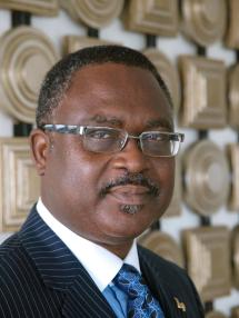 OLUSEGUN S. I. O. OBED