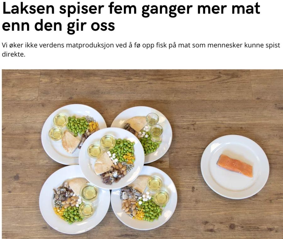 Skjermbildet av artikkel på Framtiden i våre henders nettside