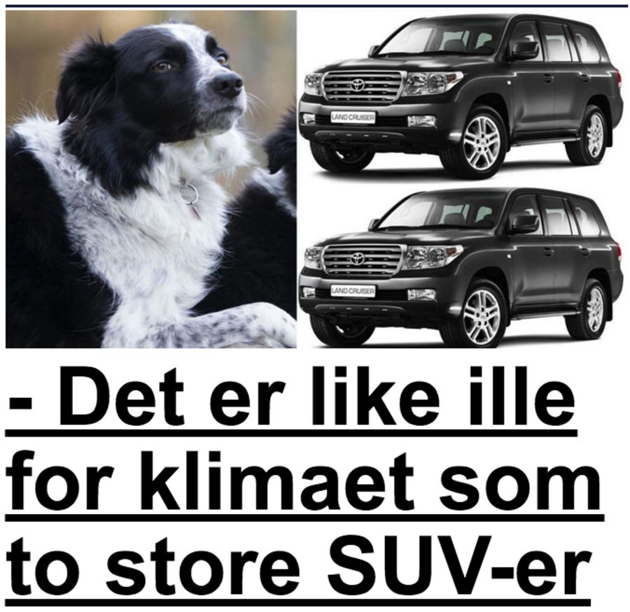 PÅ FORSIDEN: Slik så Nettavisens sak ut på forsiden av Nettavisen.no.
