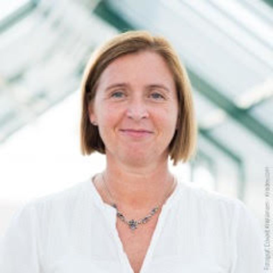 Anne Ingeborg Myhr, direktør ved GenØk.