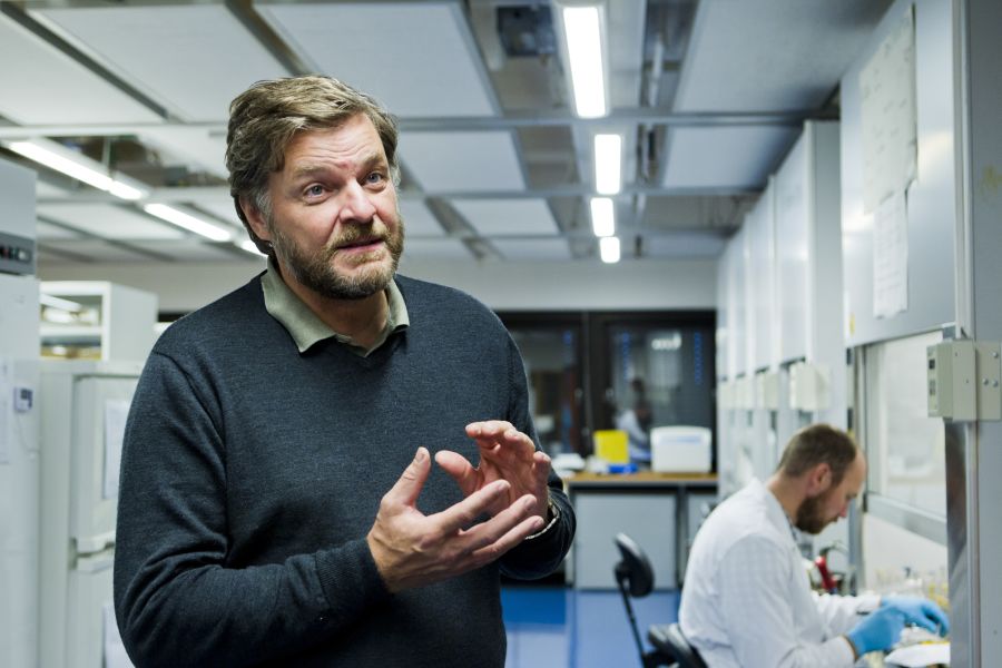 Steinar Madsen, medisinsk fagdirektør i Legemiddelverket.