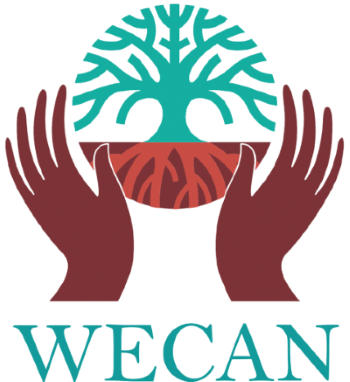 Logo with a link to go to organisation homepage
