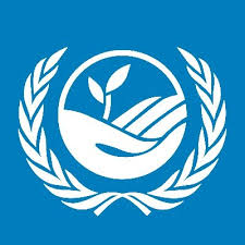 Logo with a link to go to organisation homepage