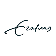 Logo with a link to go to organisation homepage