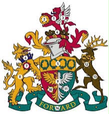 Logo with a link to go to organisation homepage