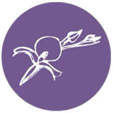 Logo with a link to go to organisation homepage