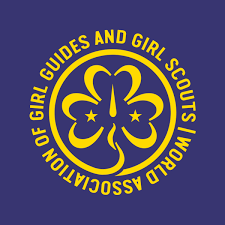 Logo with a link to go to organisation homepage
