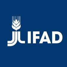 Logo with a link to go to organisation homepage