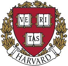 Logo with a link to go to organisation homepage
