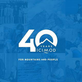 Logo with a link to go to organisation homepage