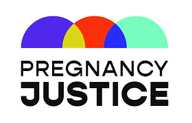 Logo with a link to go to organisation homepage