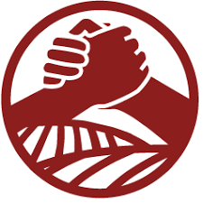 Logo with a link to go to organisation homepage