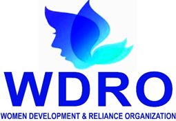 Logo with a link to go to organisation homepage