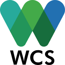 Logo with a link to go to organisation homepage