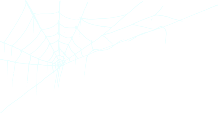 Teia de aranha
