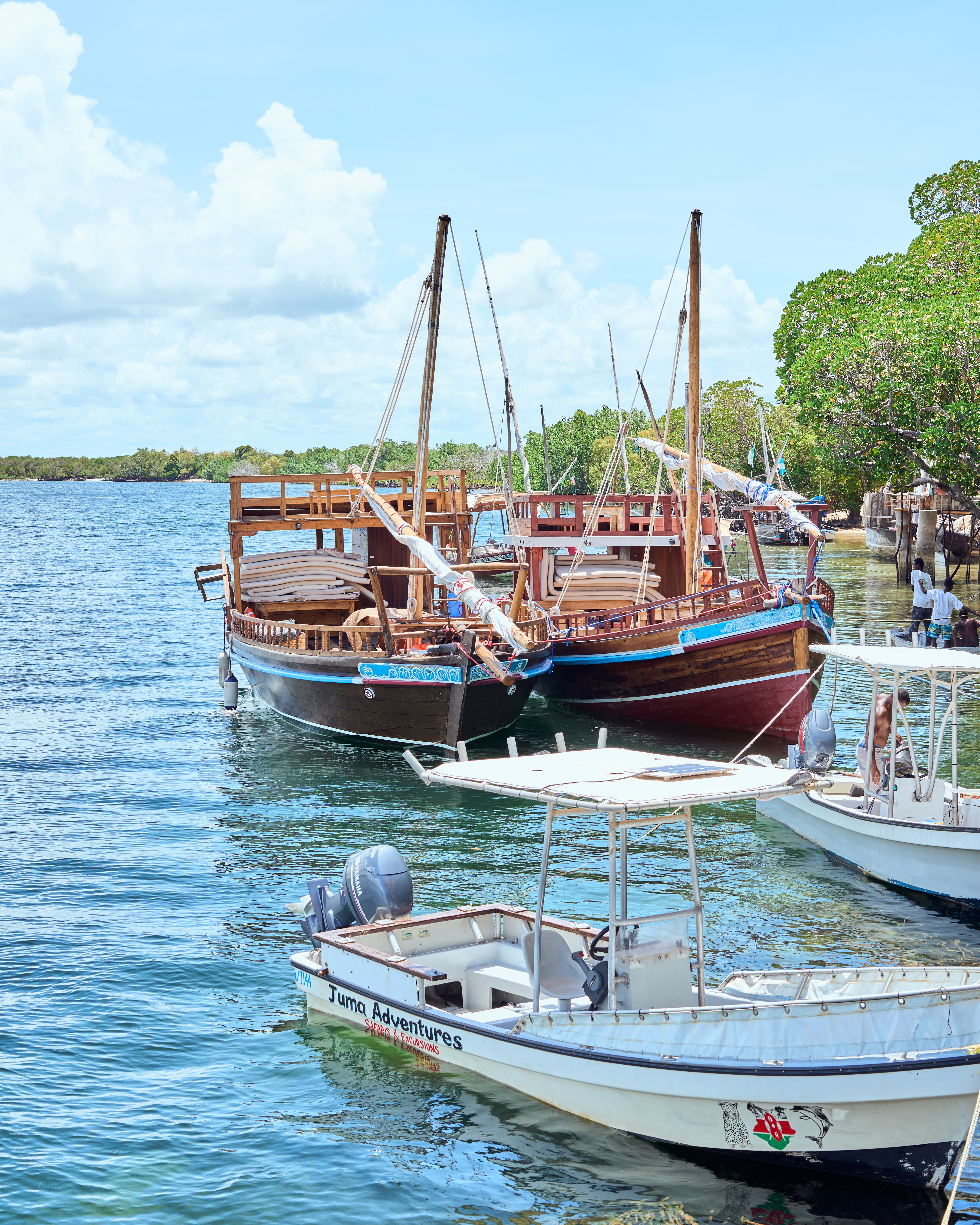 Dhows and Boats Anchored at the Shore