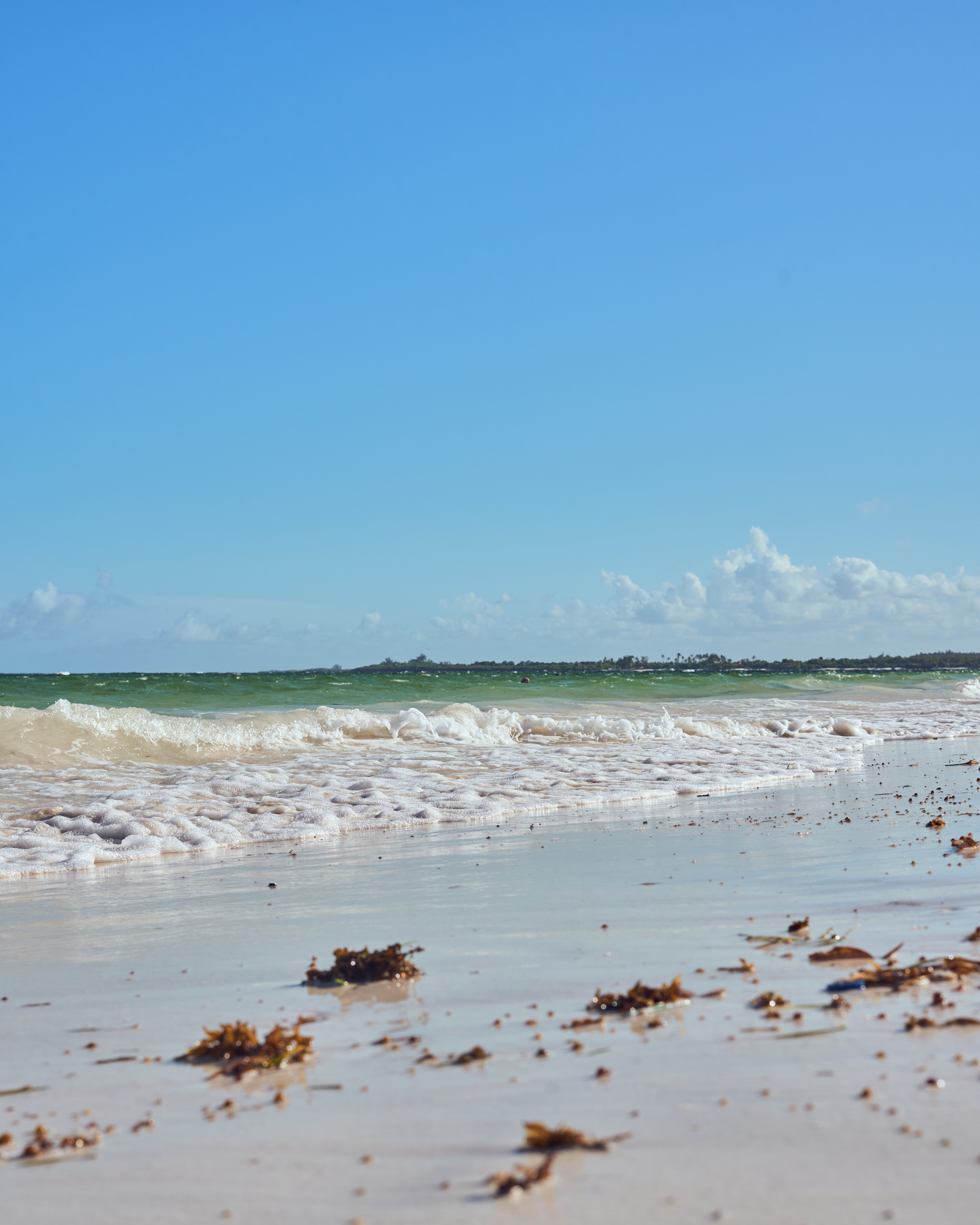 Pristine White Sand Beach Under a Clear Blue Sky