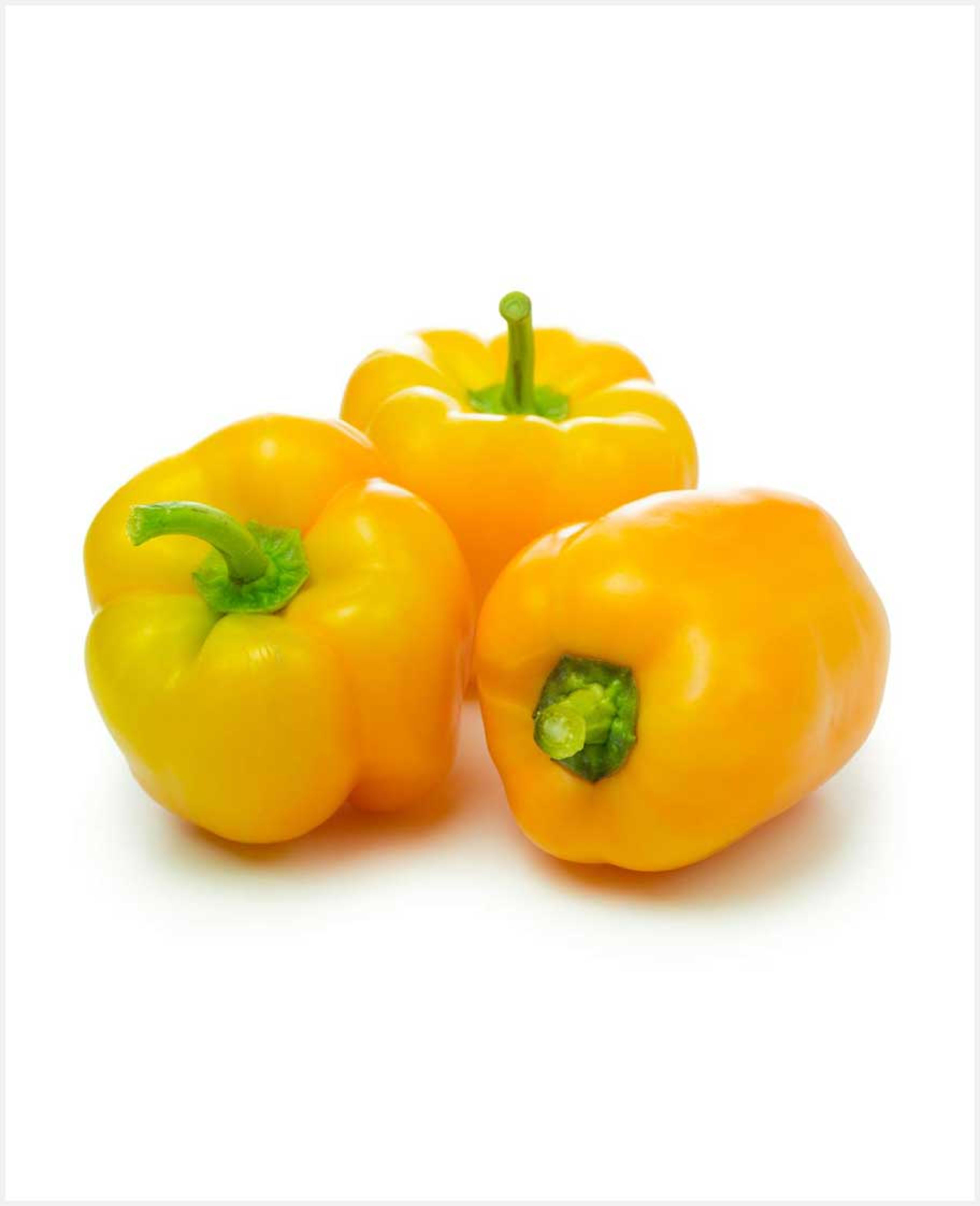 Capsicum Yellow Qatar