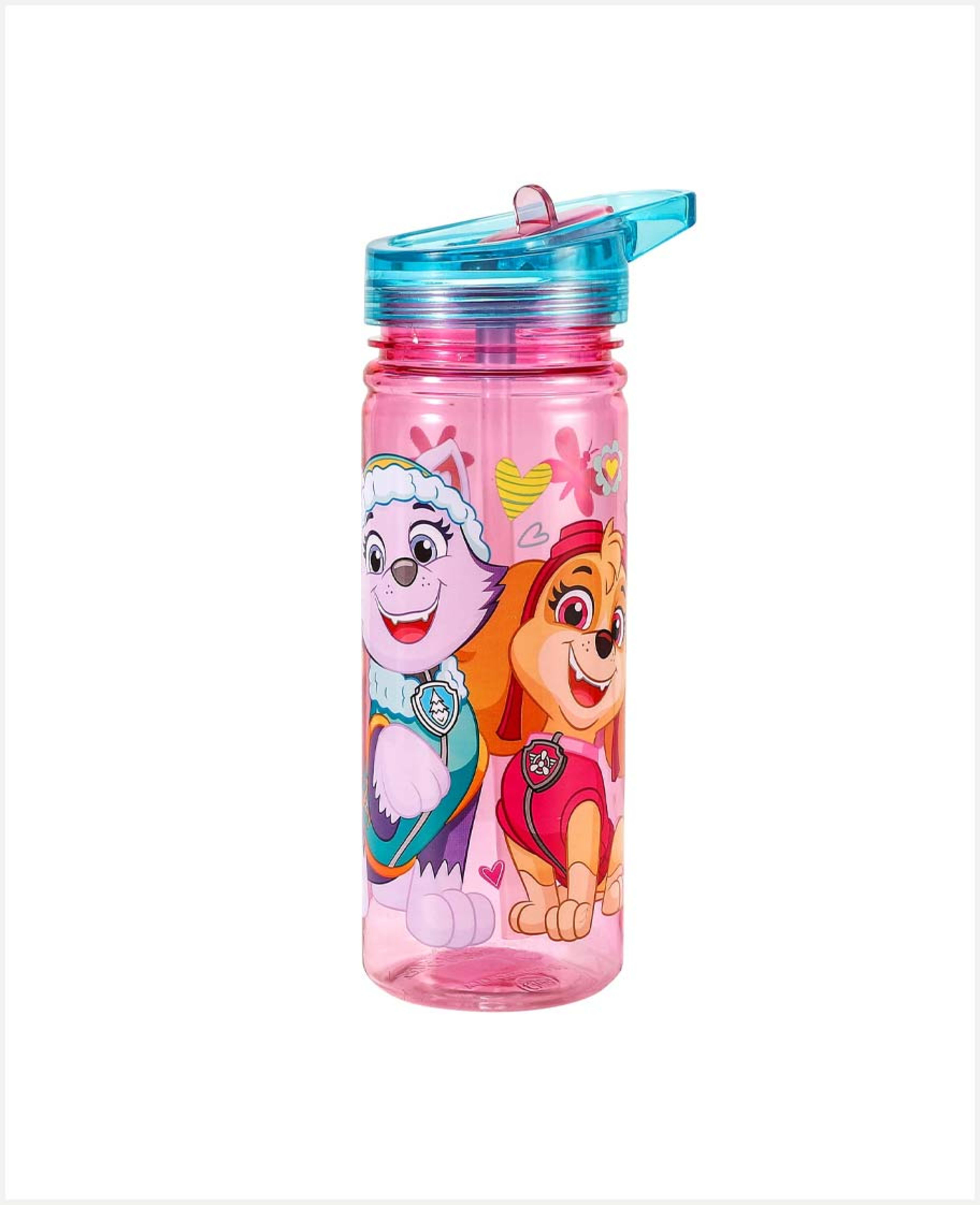 Disney Bts23 Lrge Ecozen Bottl Pawpatrol Sketch 580ml Rj4271