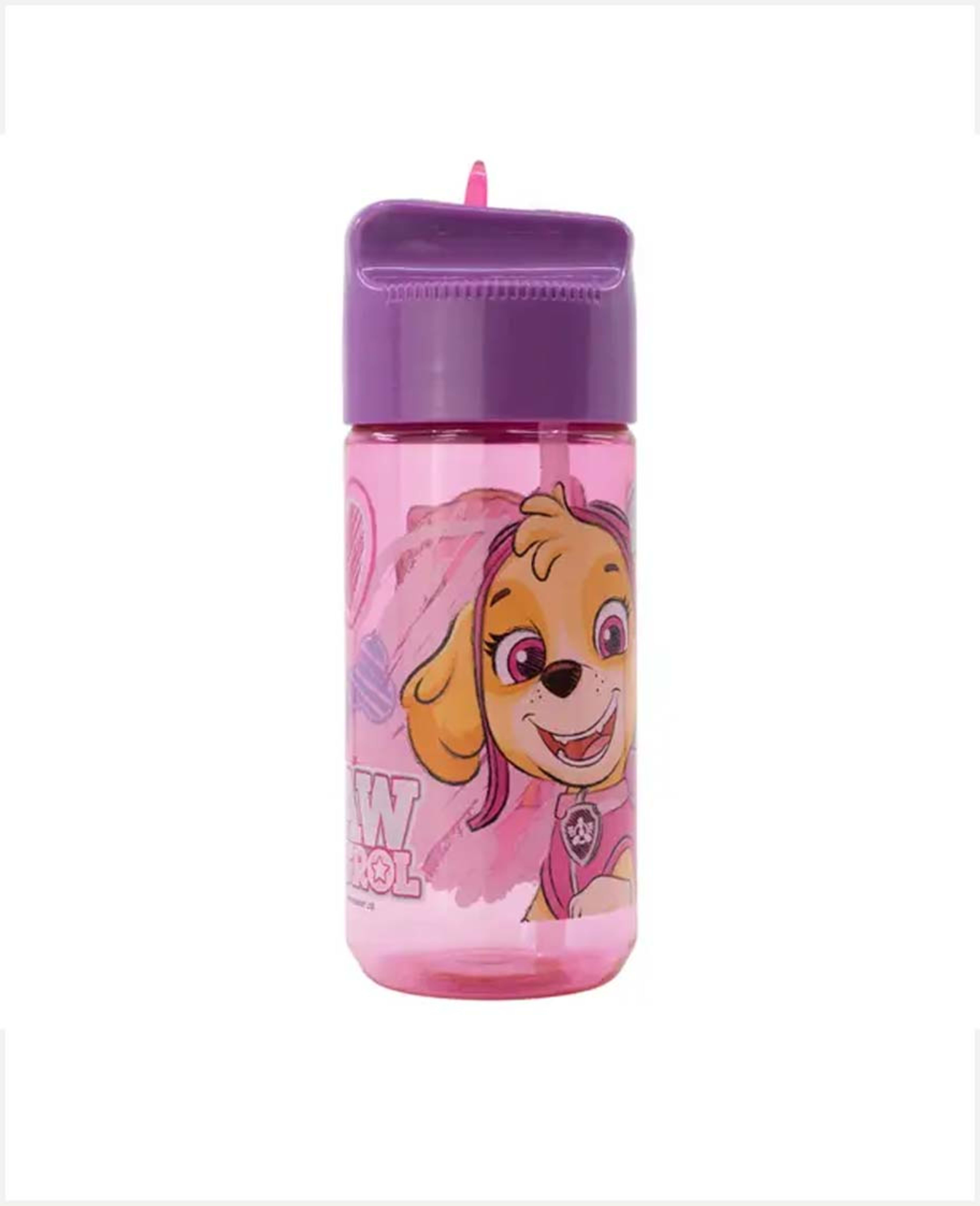 Disney Bts23 Small Ecozen Hydro Bottle Pawpatrl 430ml Rj4279