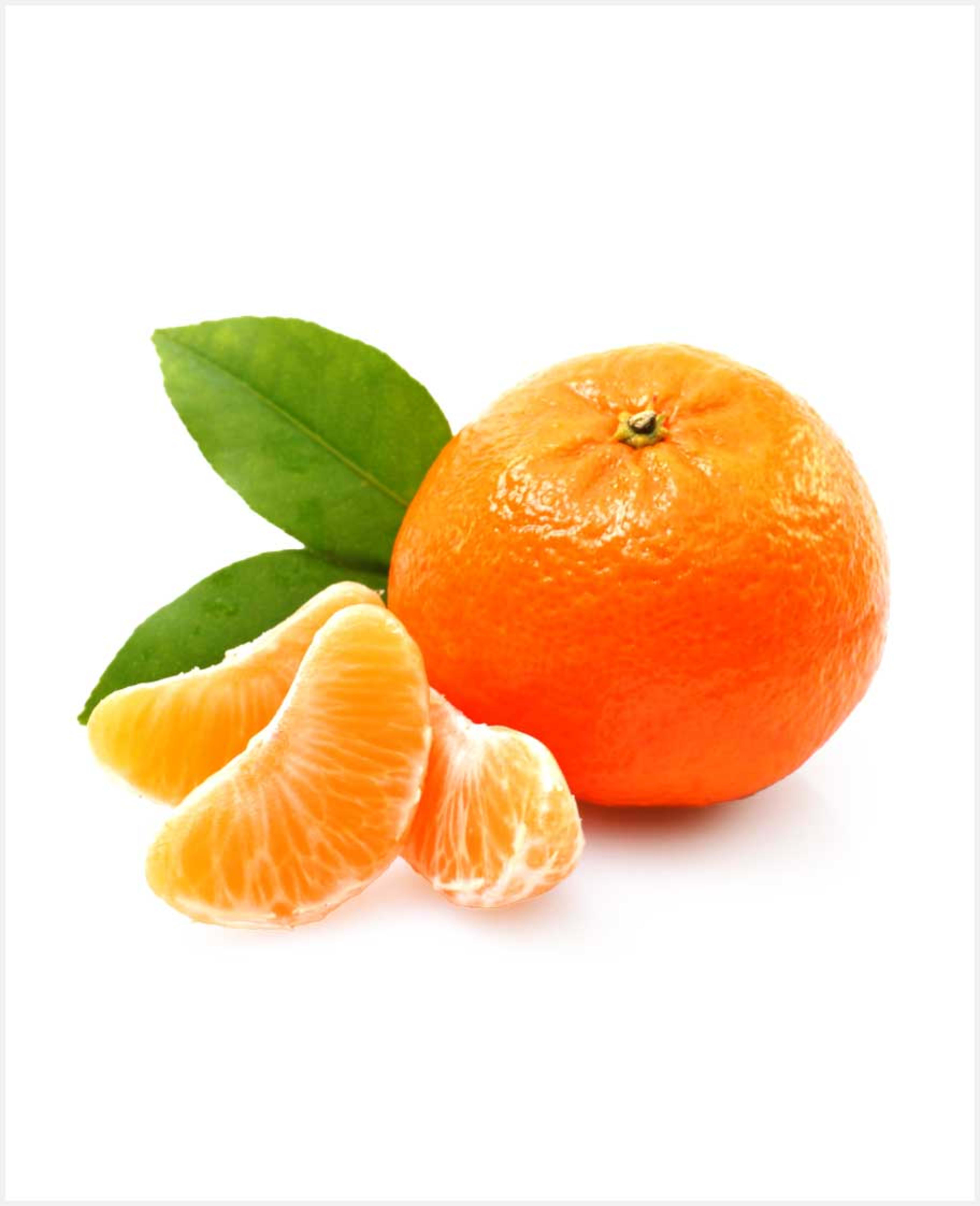Mandarine Egypt