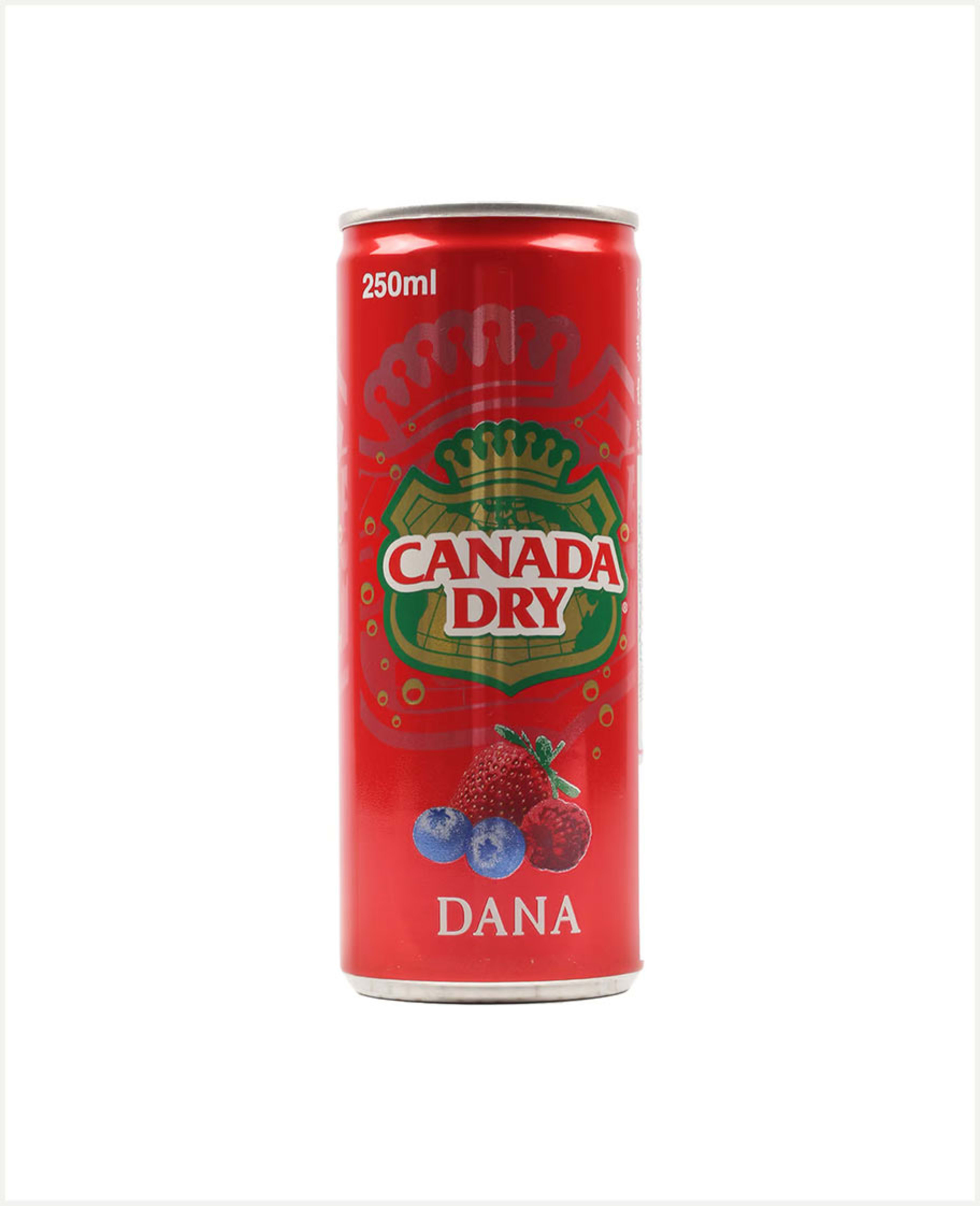 Canada Dry Dana Carbonated Drink 250ml