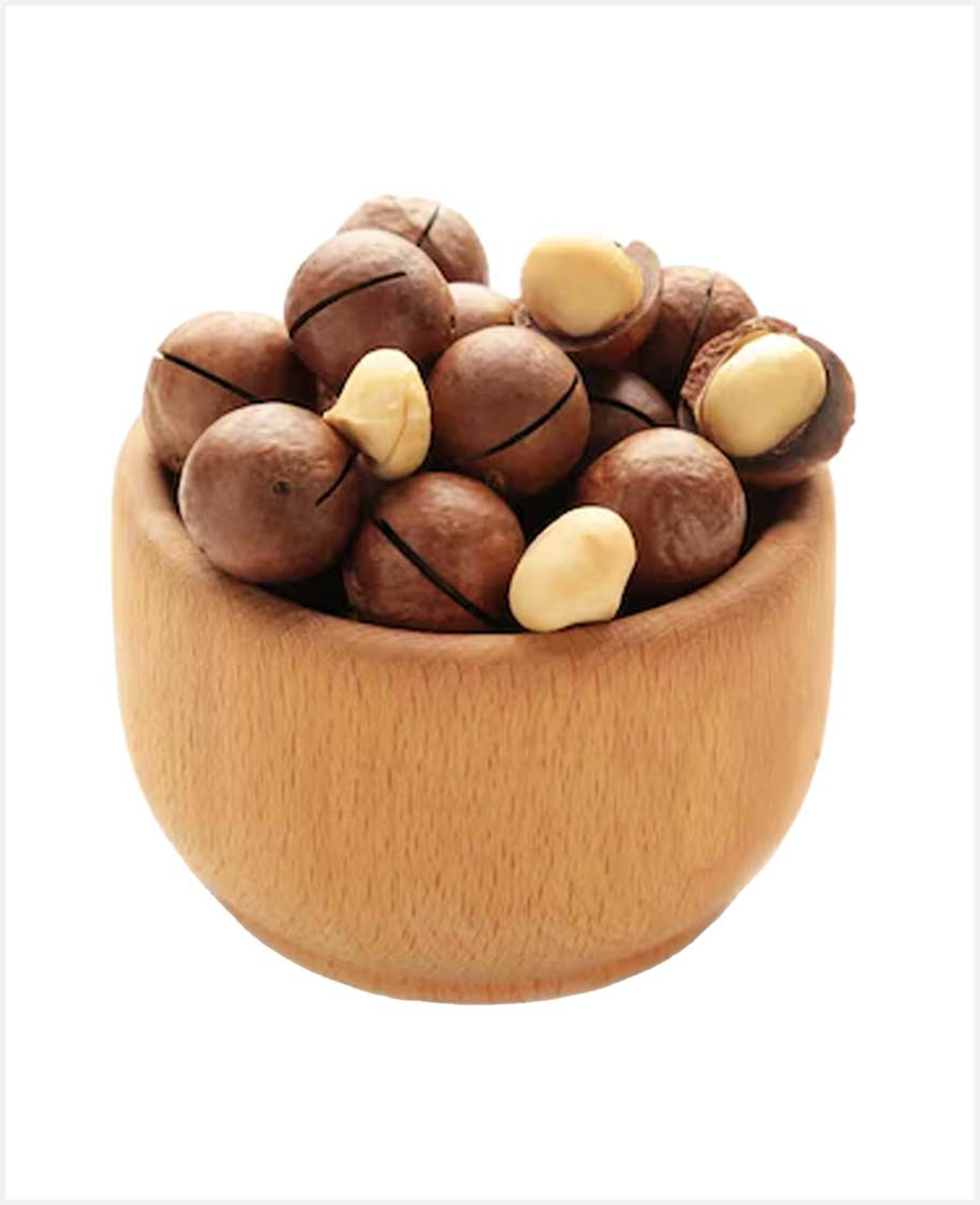 Macadamia with Shell