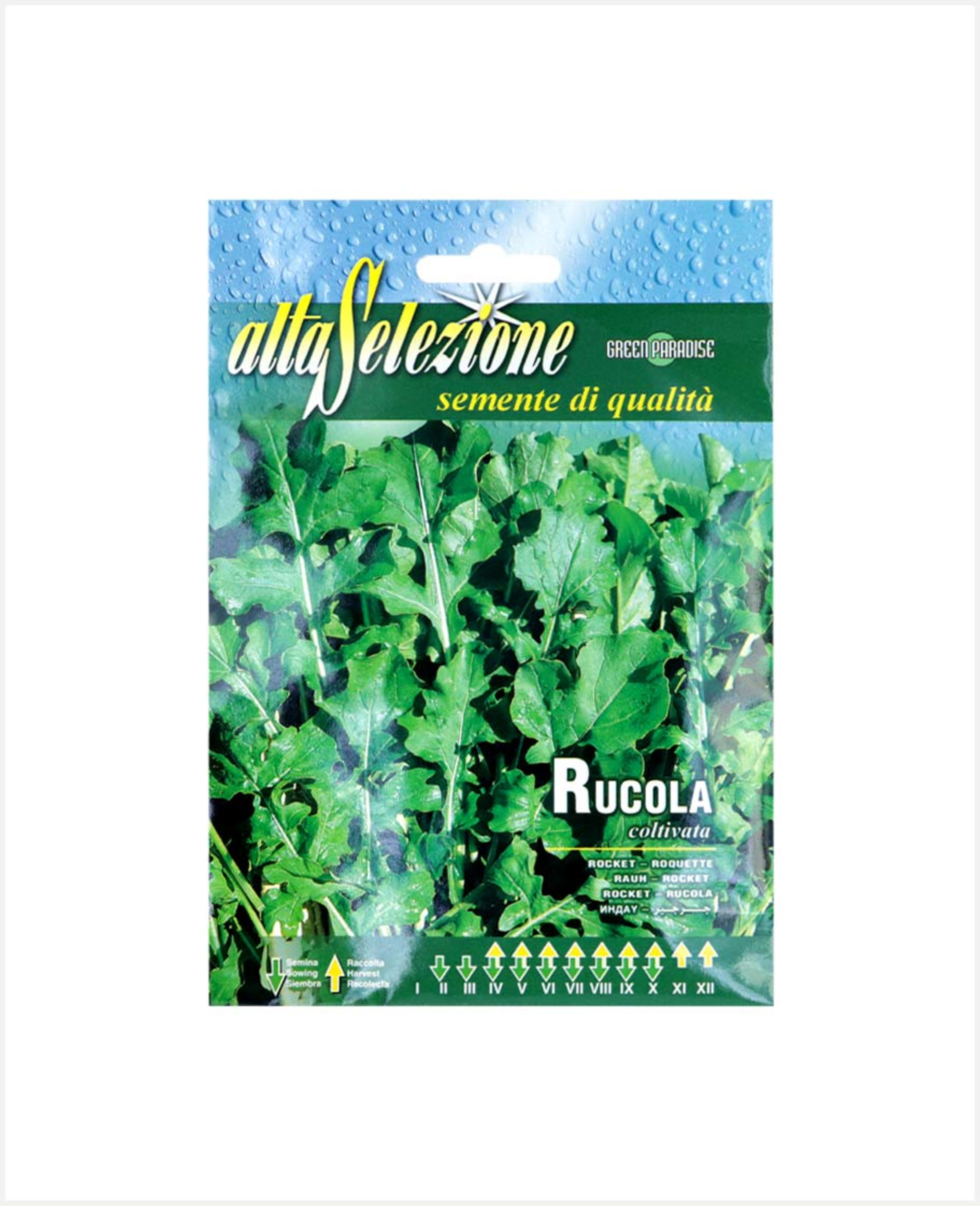 Alta Selezione (rucola) Cultivated Rocket 12gm #aso115/1