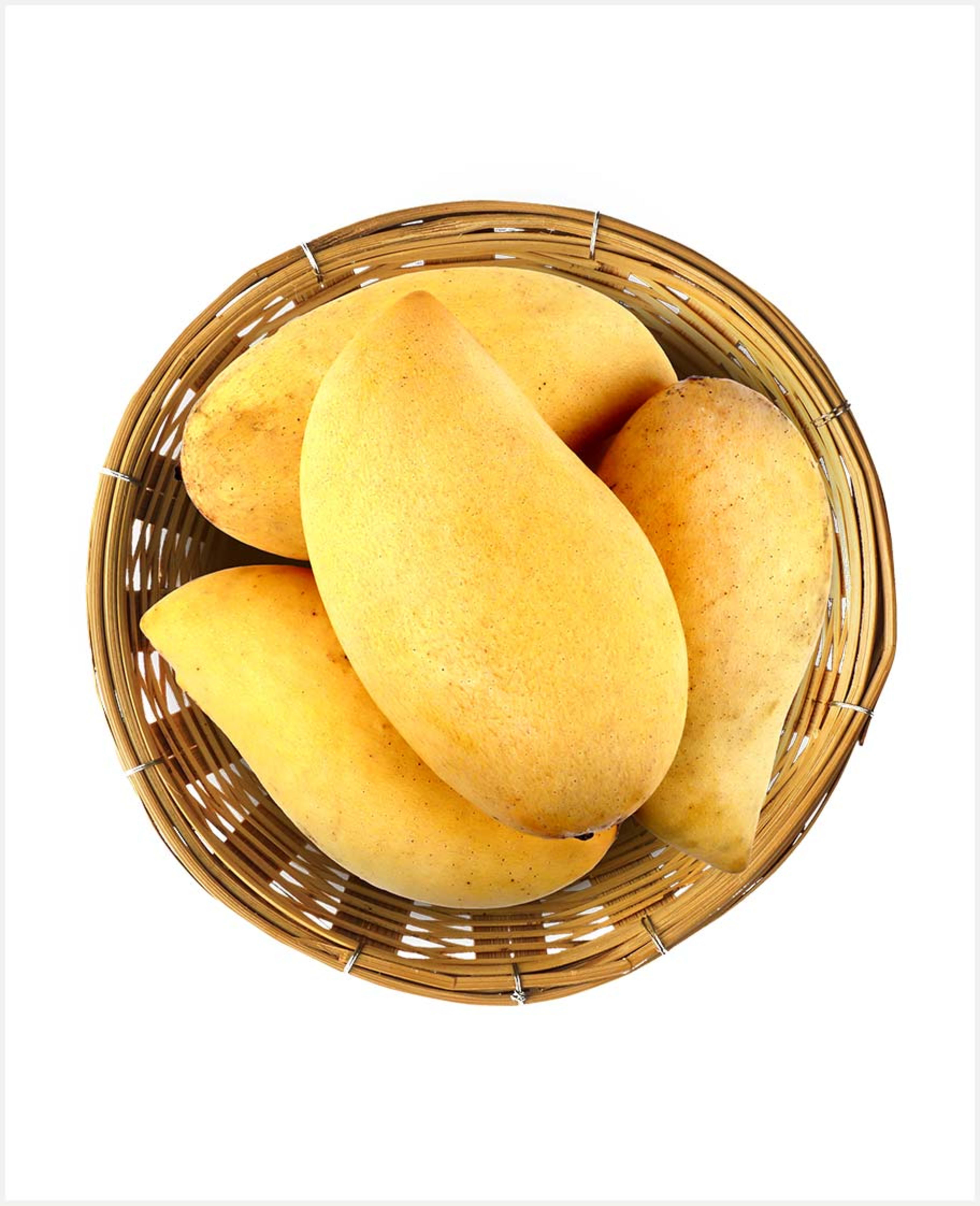 Mango Thailand Kg