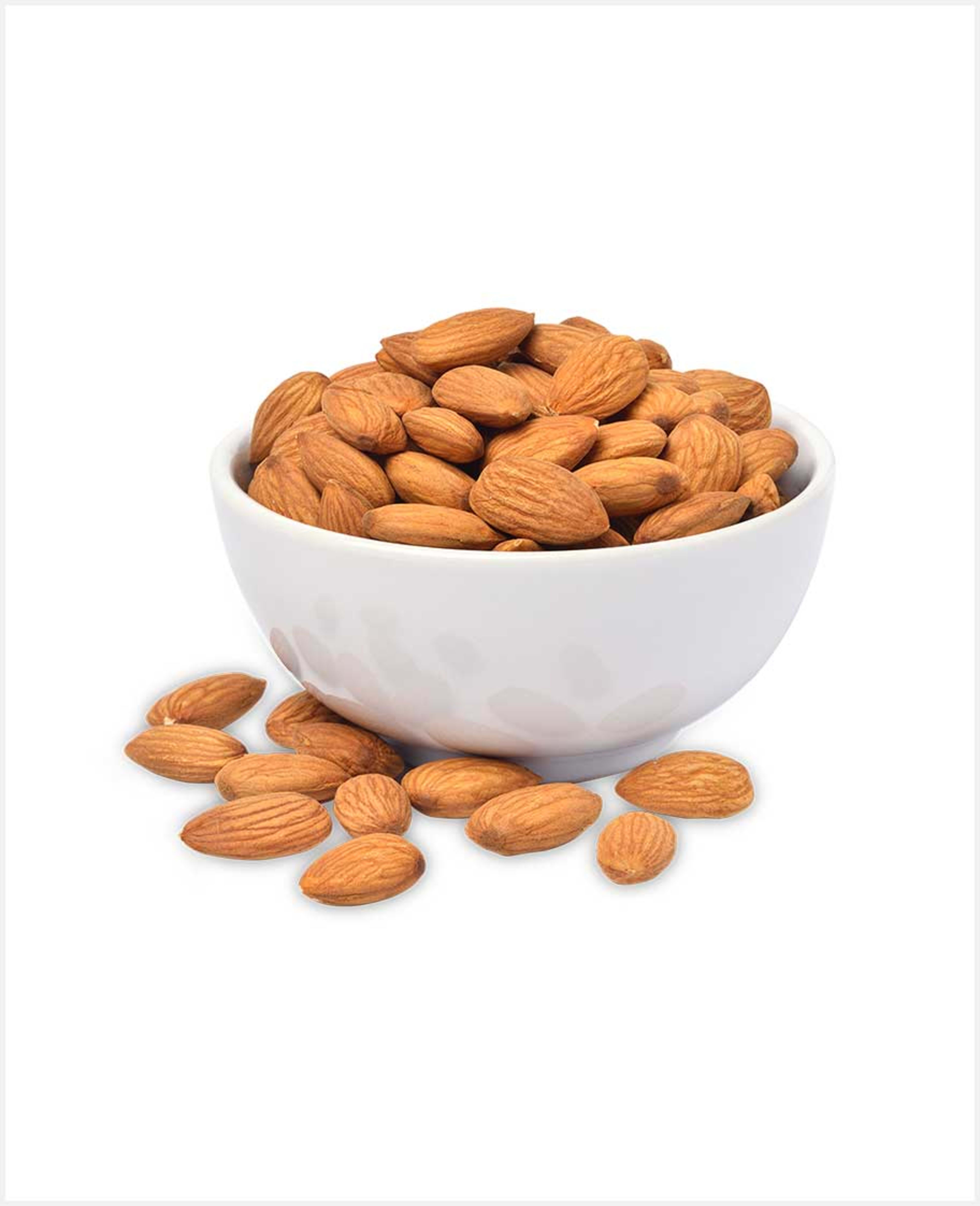 Almond Plain Big 18/20 - image 2