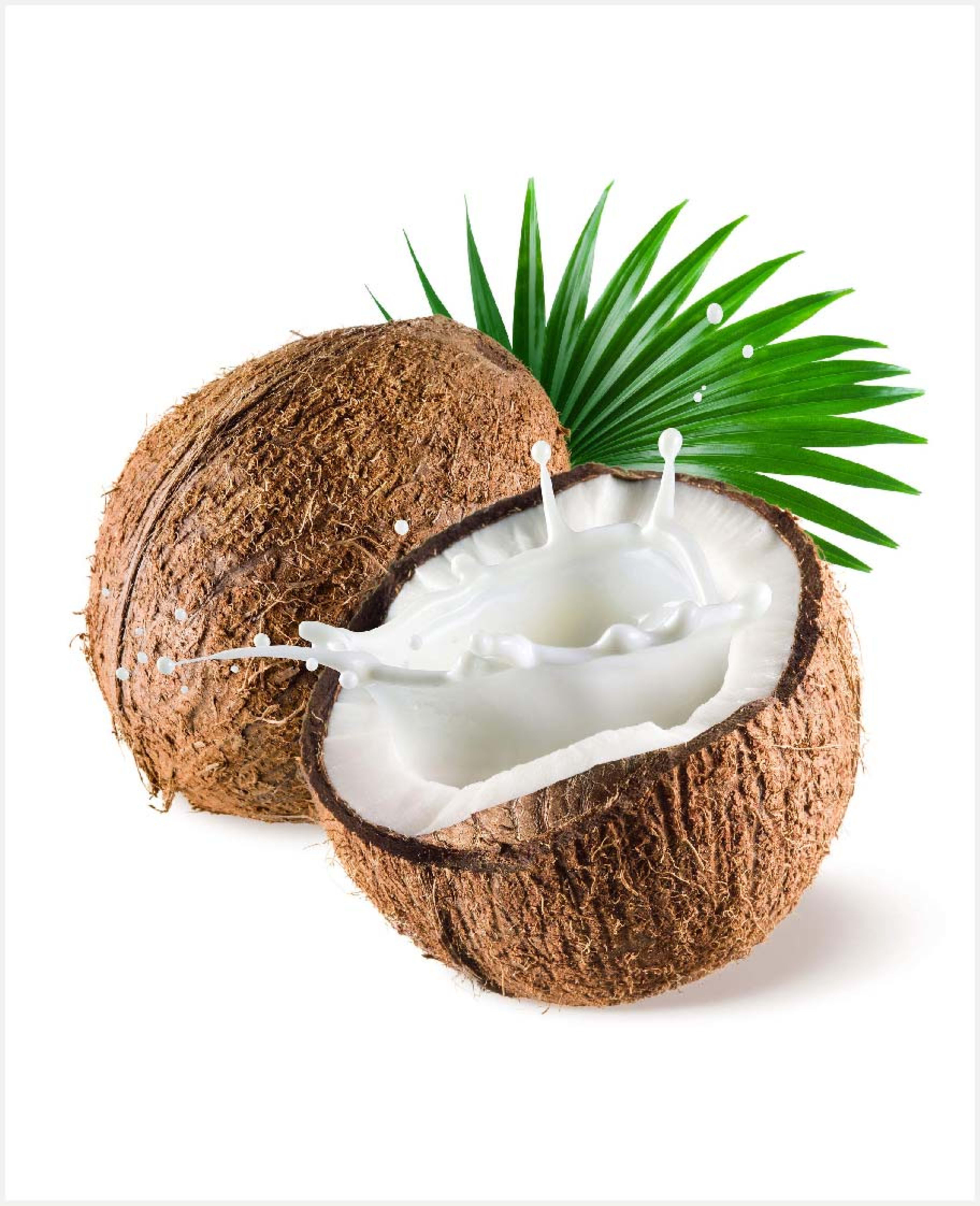 Coconut Whole India