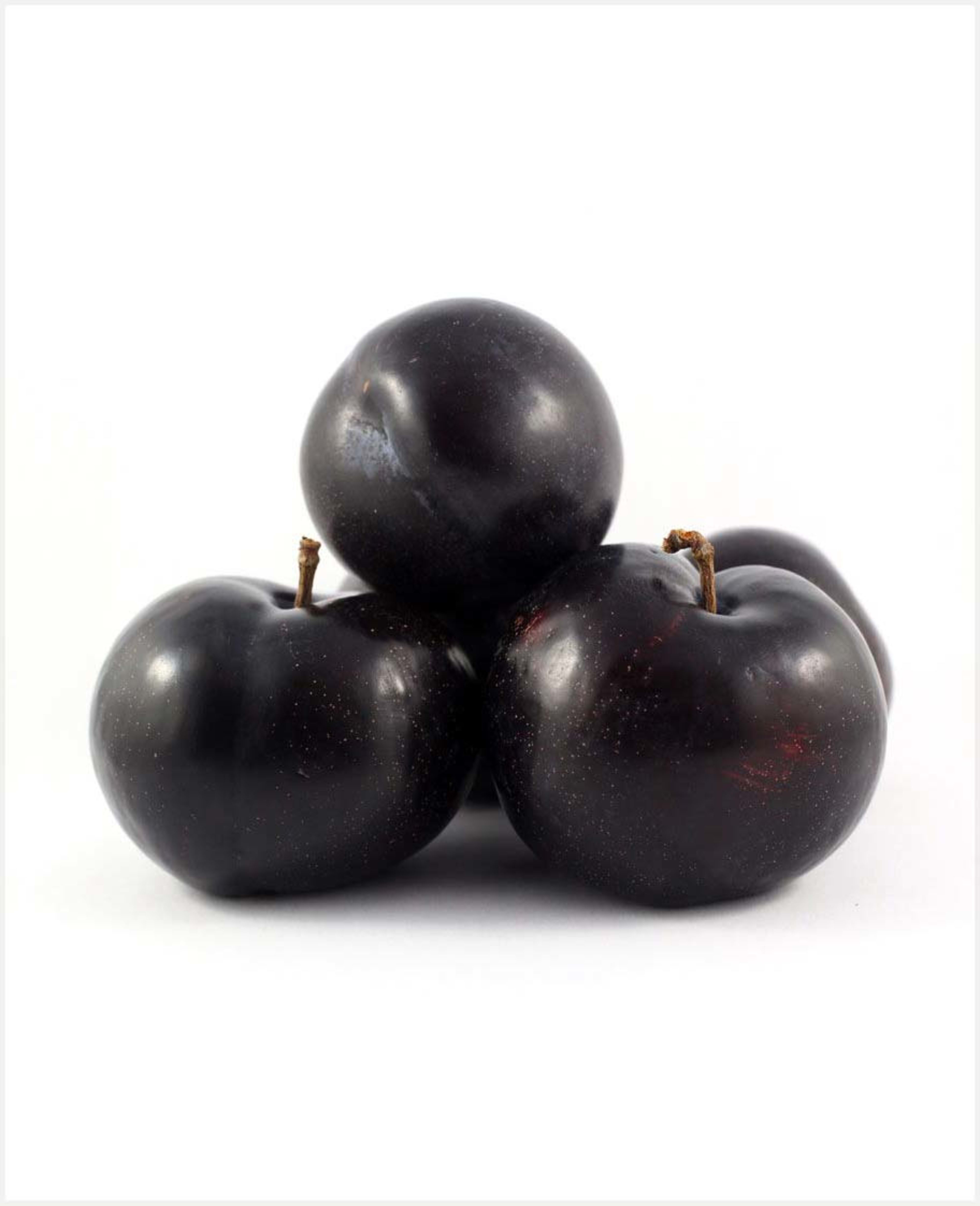 Plum Black