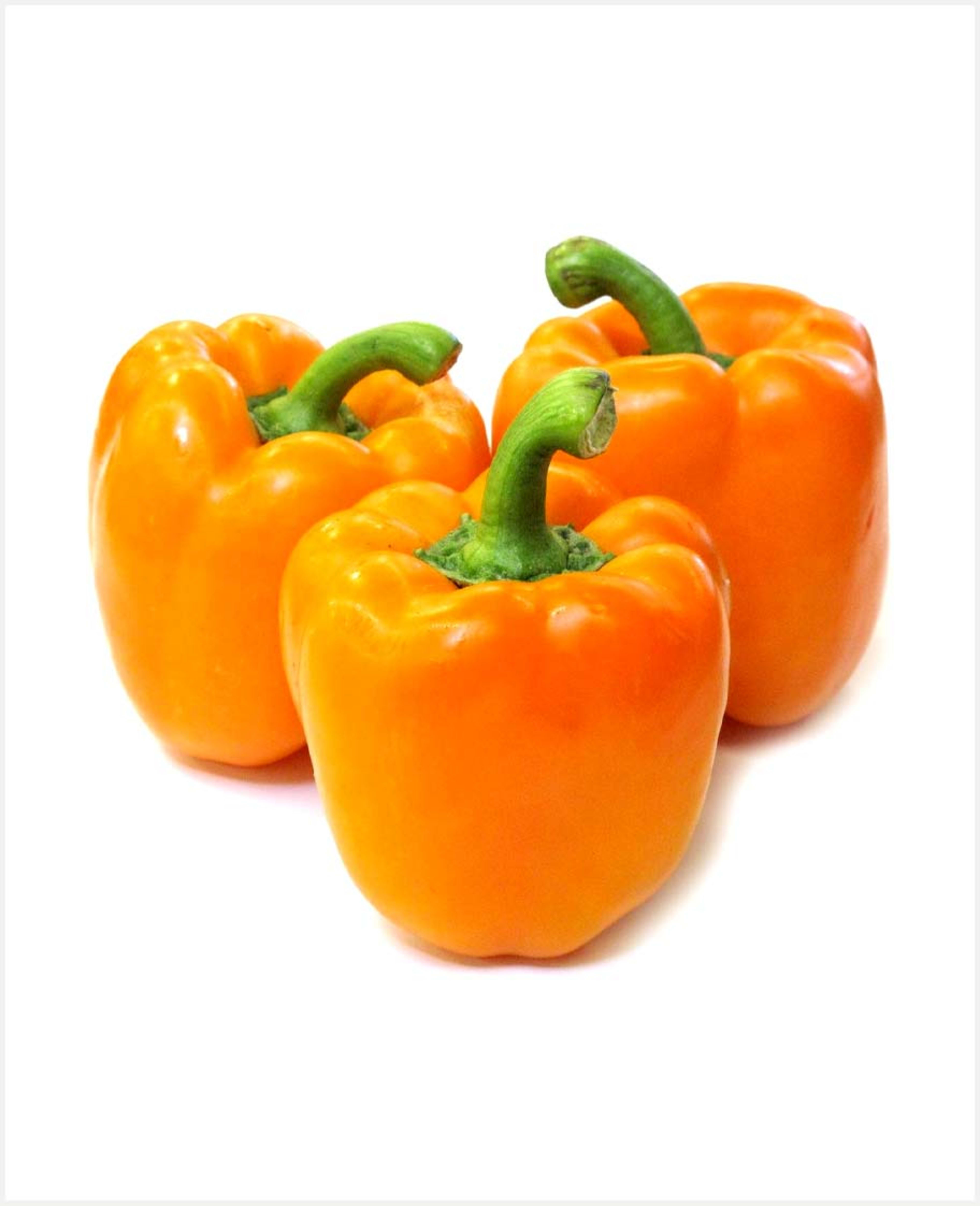 Capsicum Orange Holland - image 3