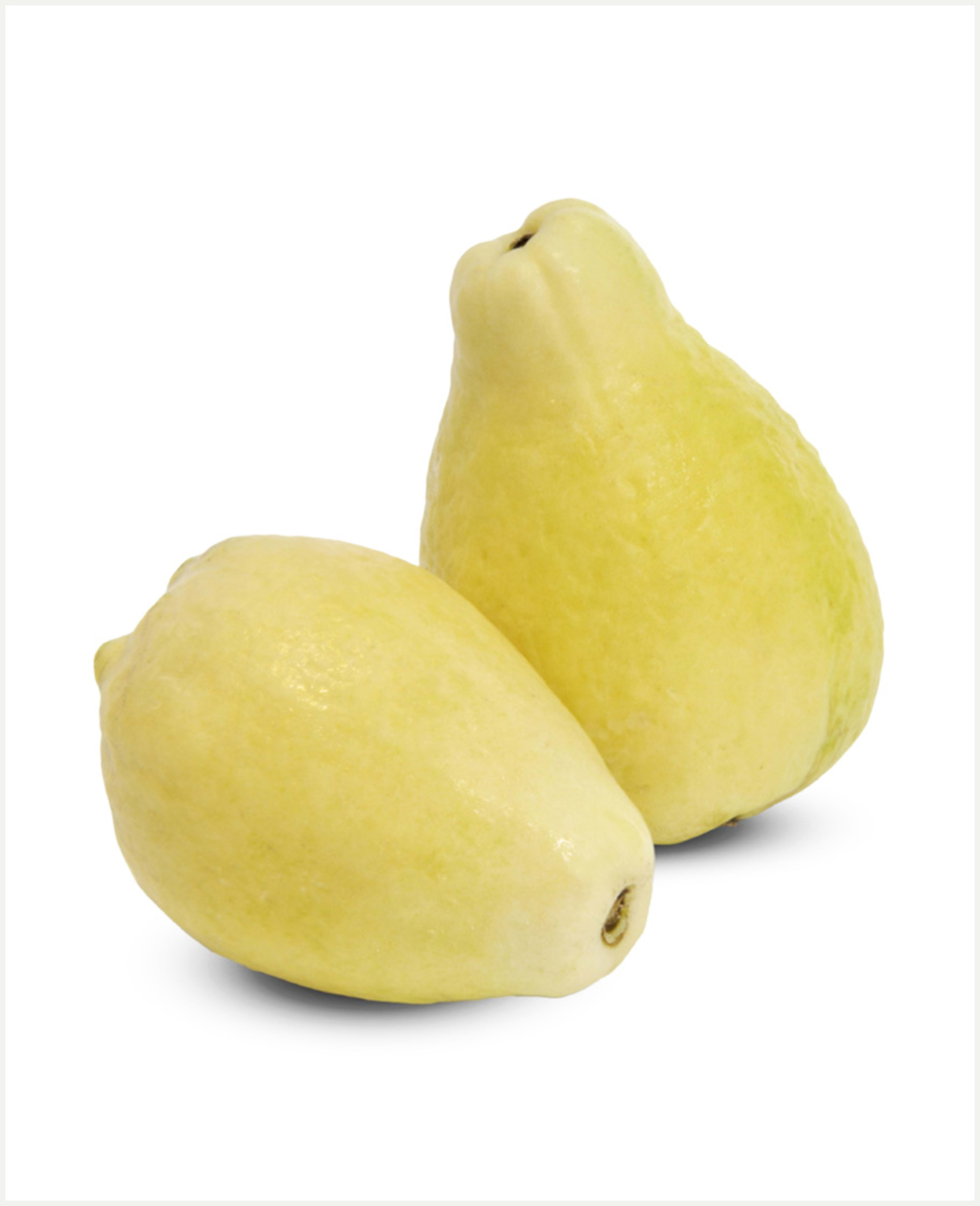 Guava Egypt