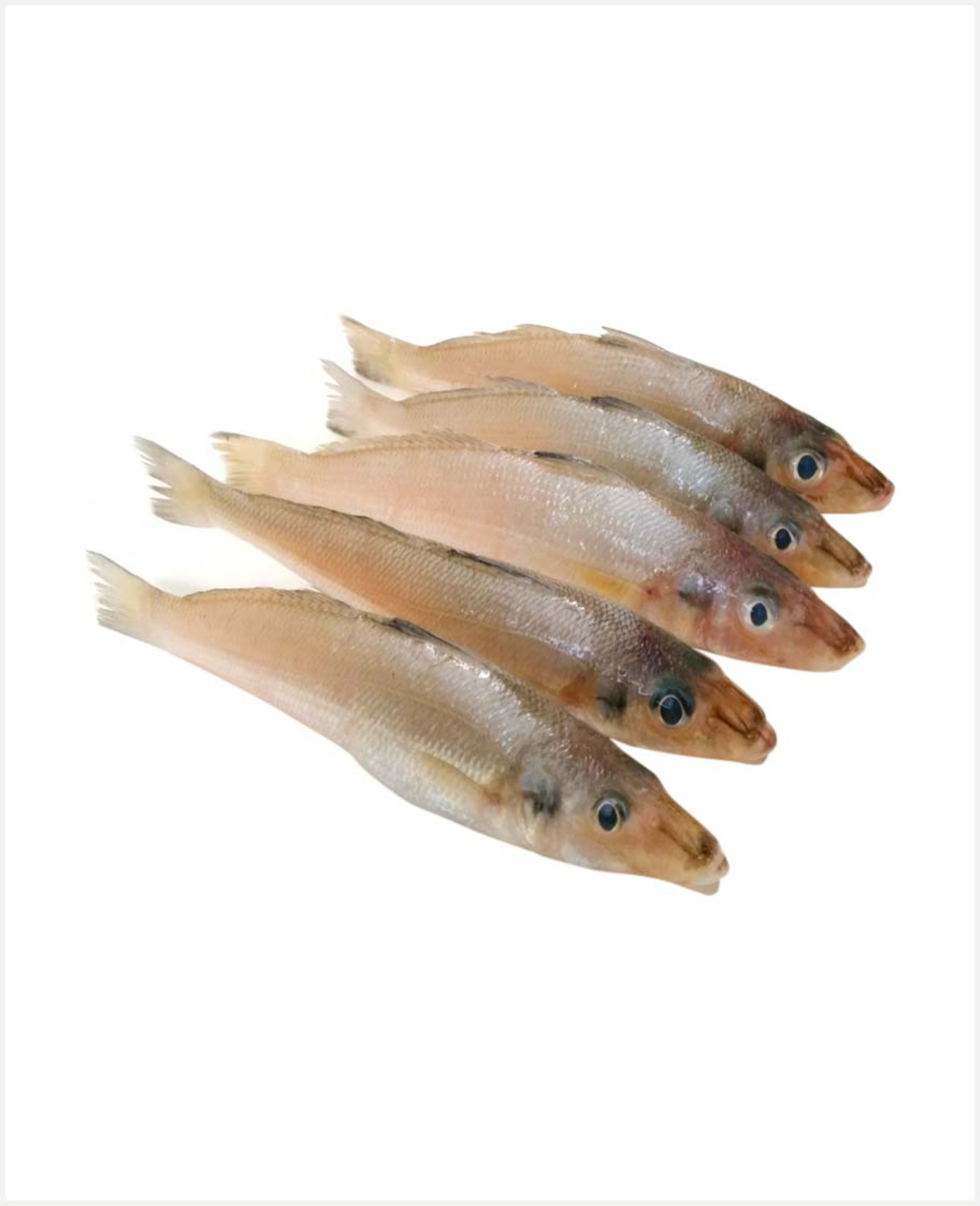 Ladies Finger Fish