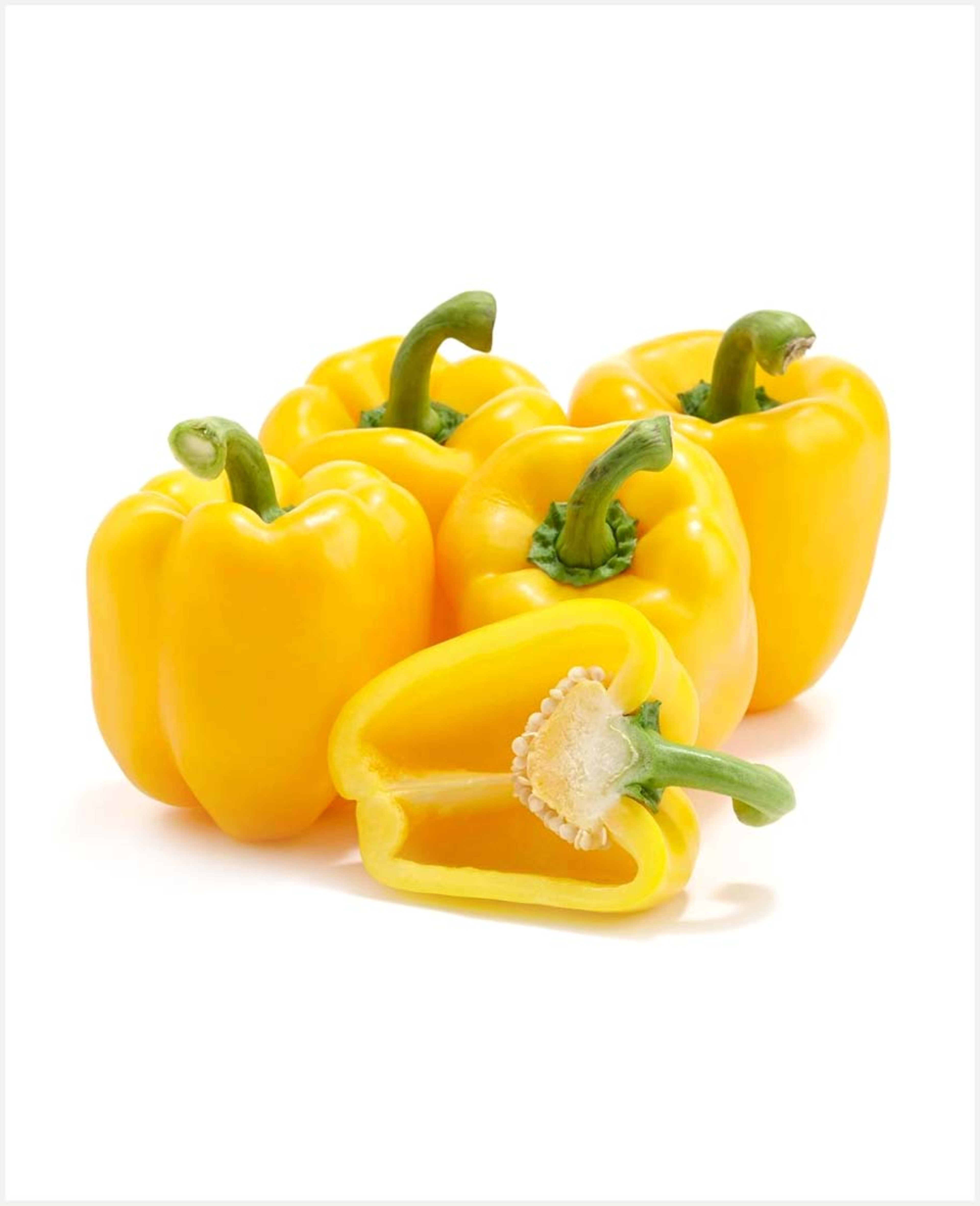 Capsicum Yellow Holland