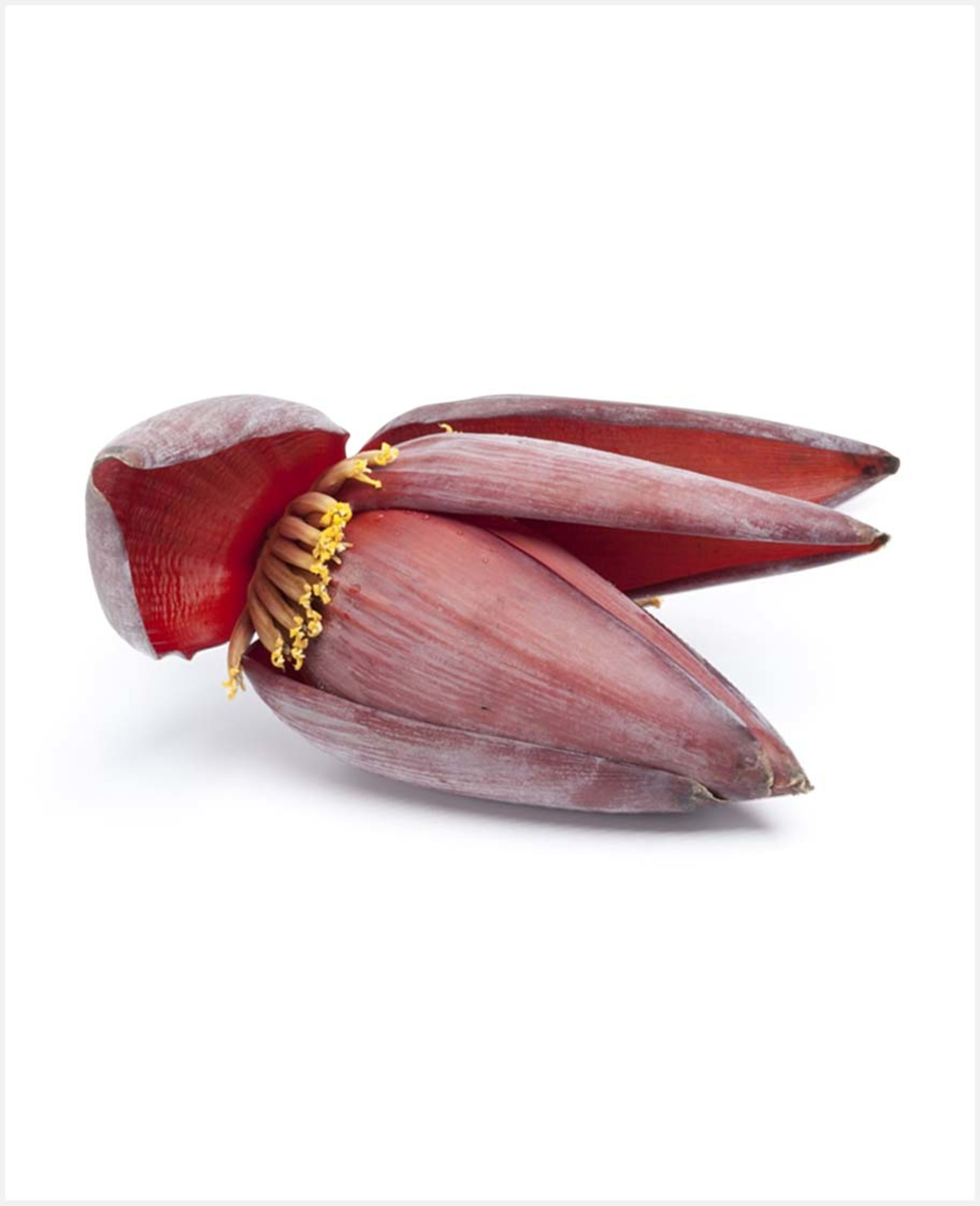 Banana Flower India
