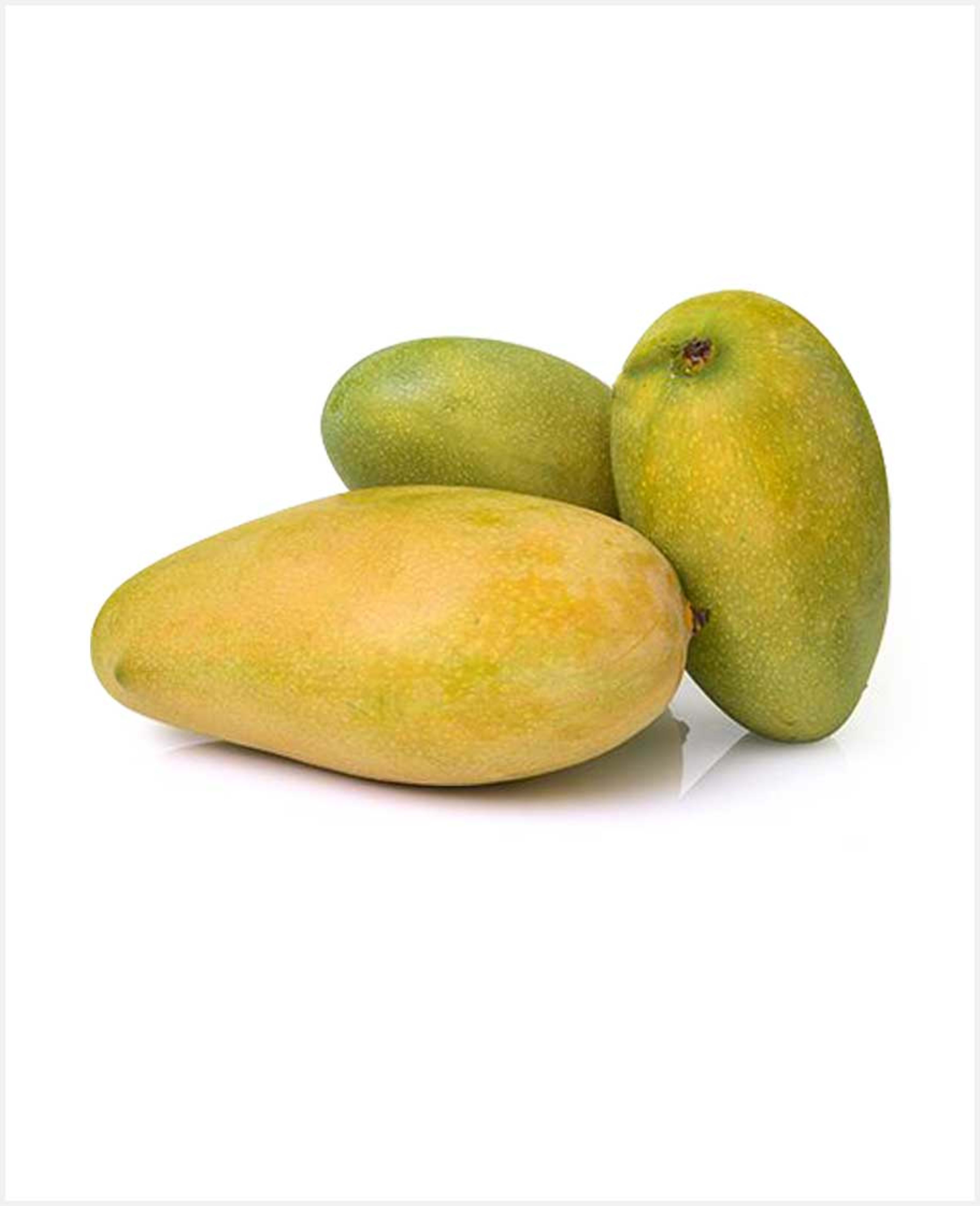 Mango Mallika India