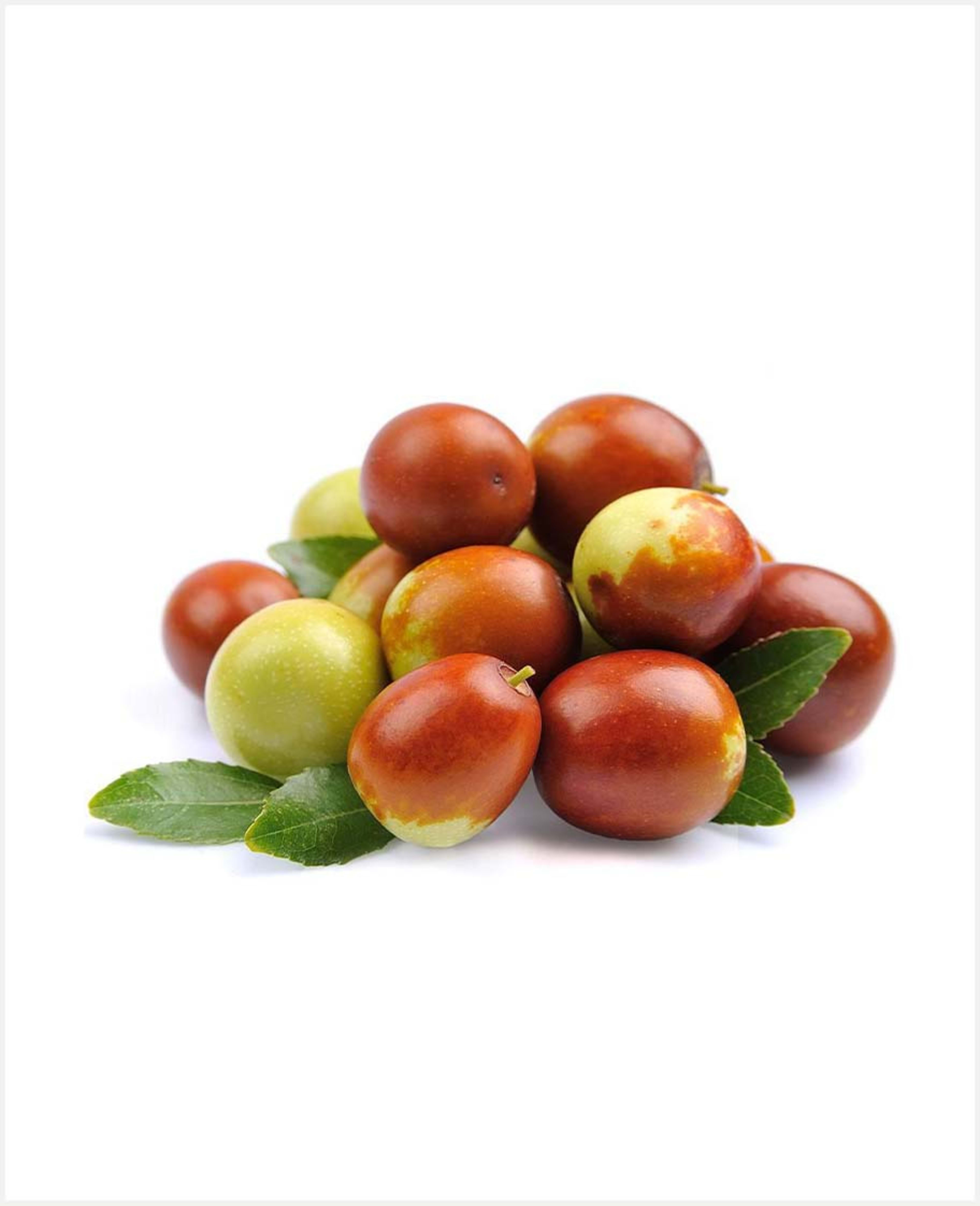 Jujube Fruits