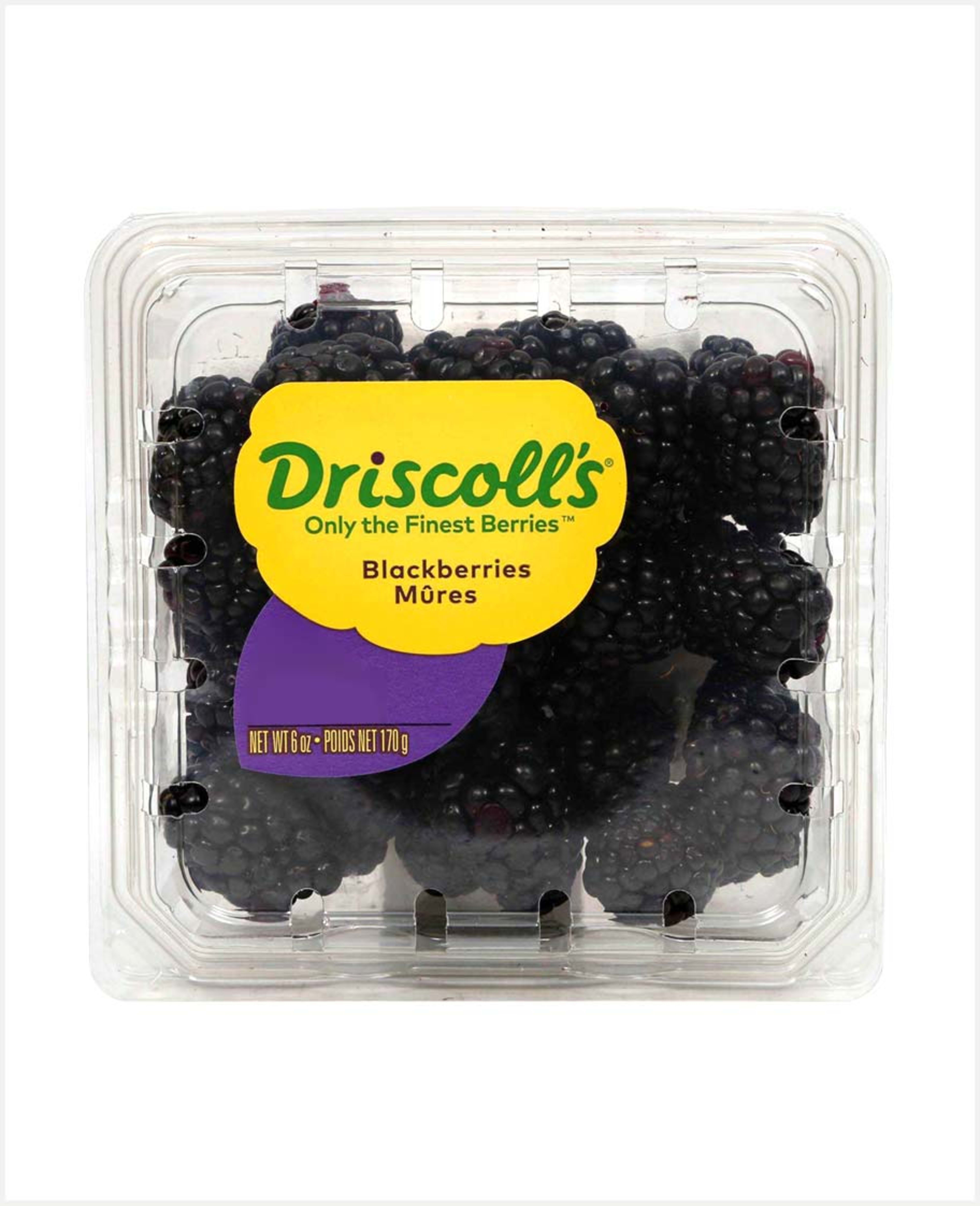 Blackberry Driscoll Clamshell Usa 170gm