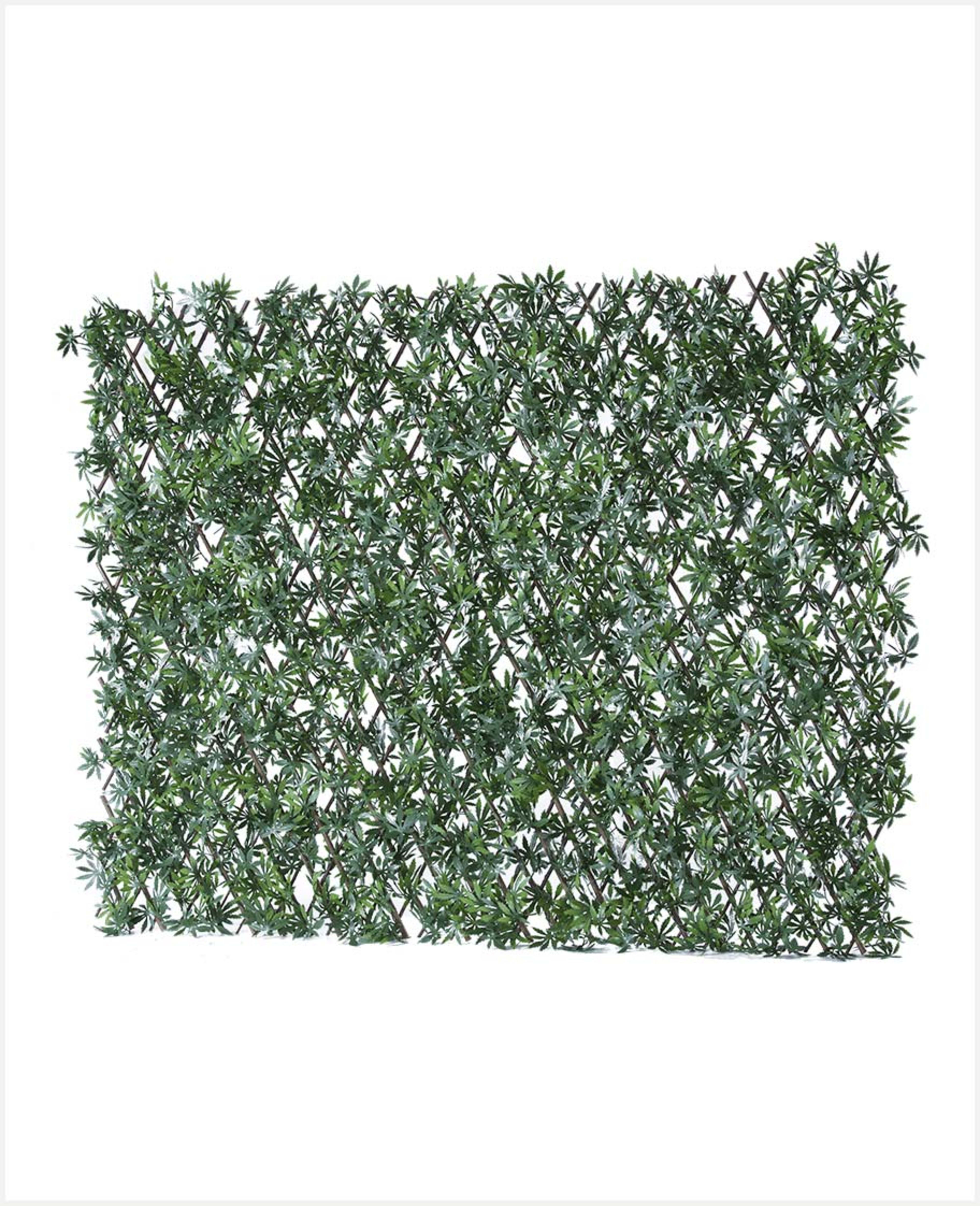 Procamp Willow Trellis 1x2m - image 3