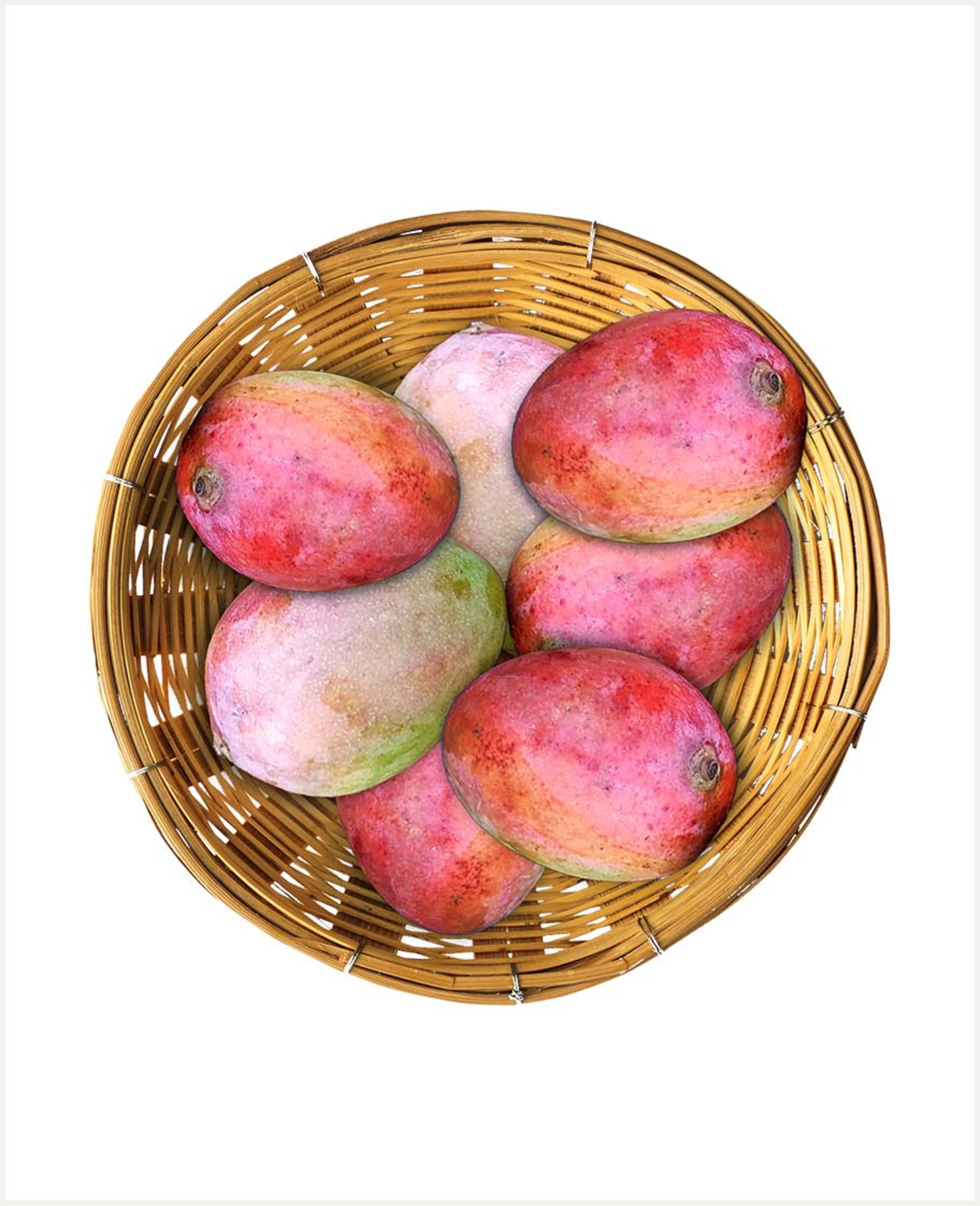 Mango Vilard