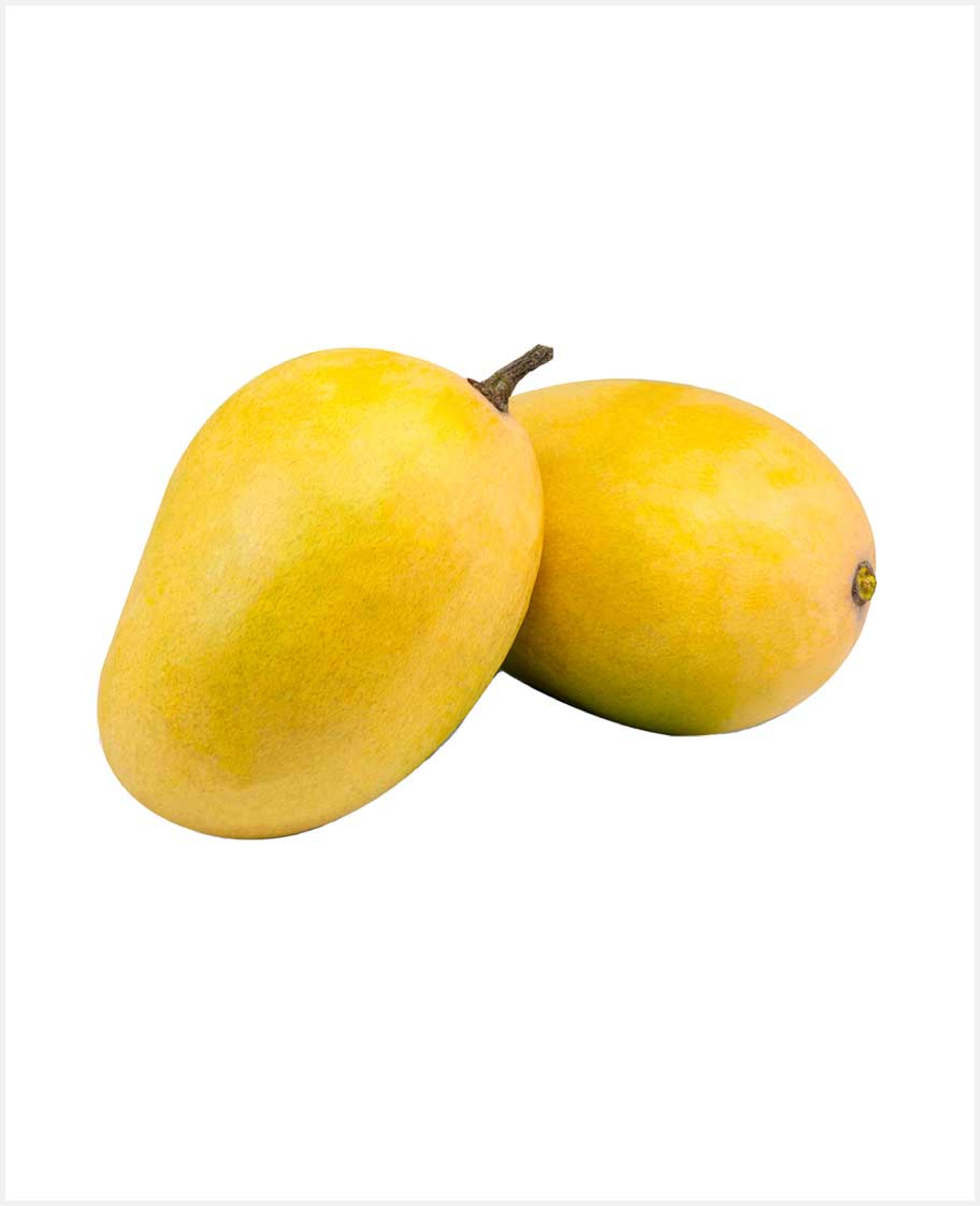 Mango Anwar Ratol