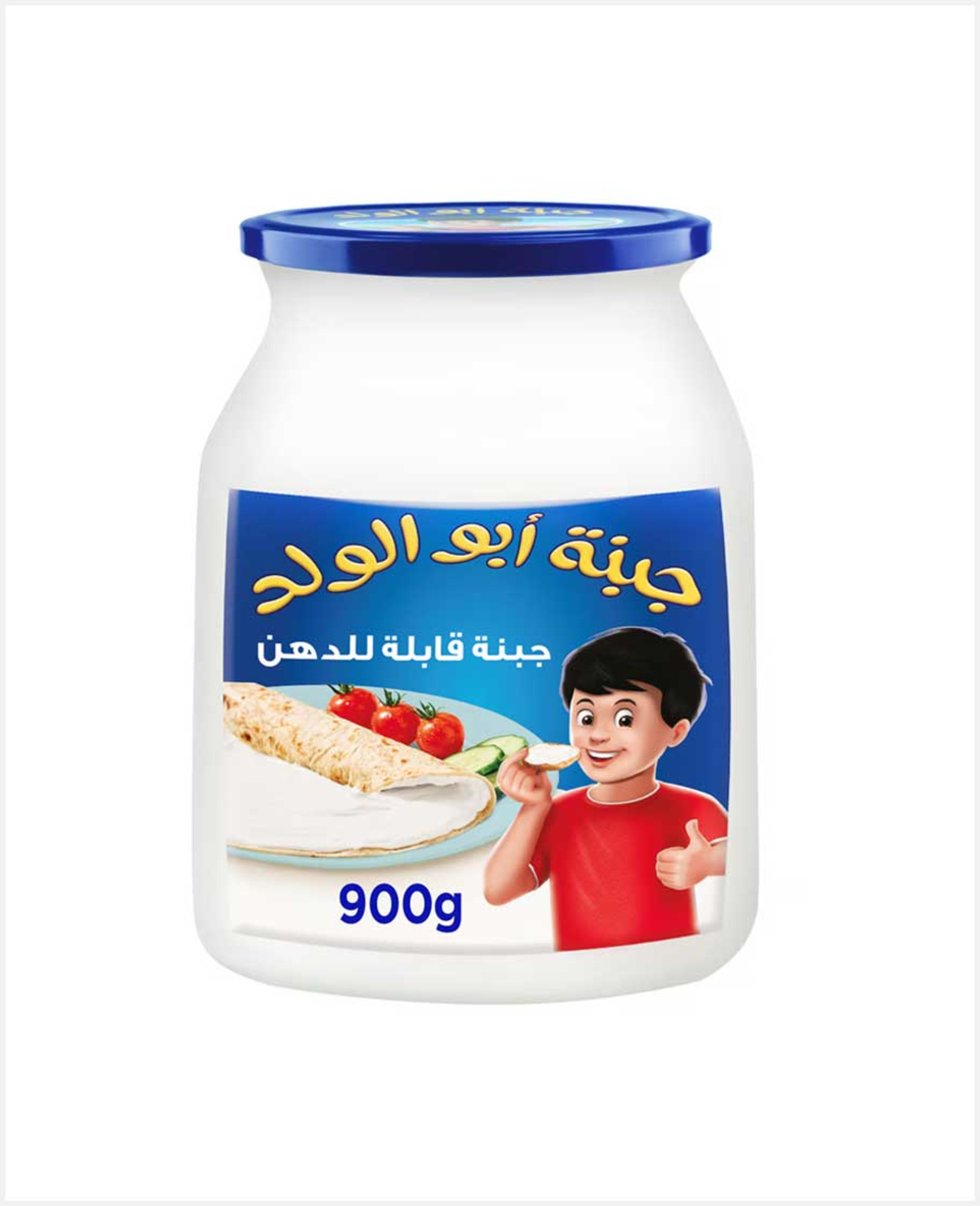 Regal Picon Spreadable Processed Cheese Analogue 900gm