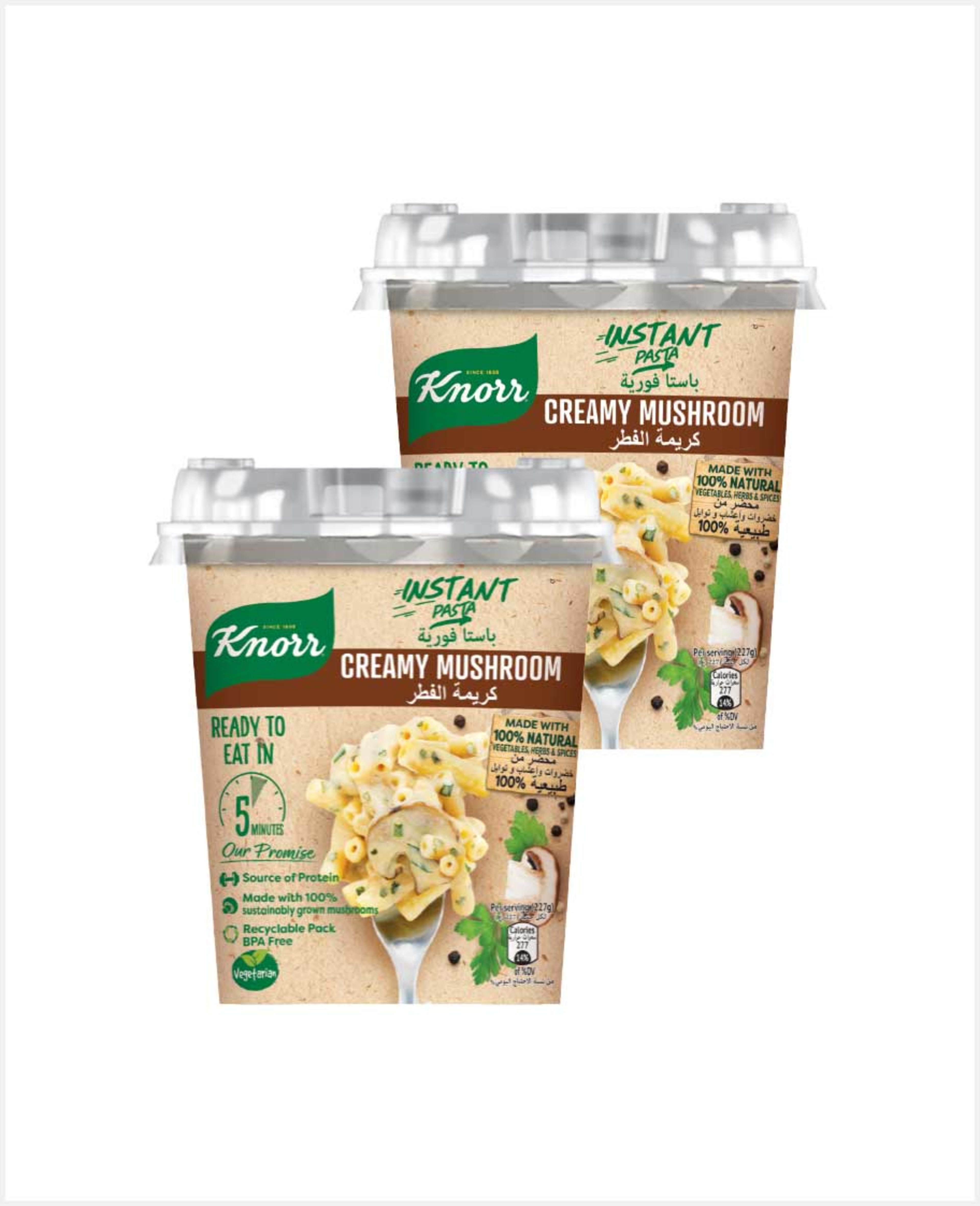 Knorr Instant Pasta Creamy Mushroom 2x67gm Sp.offer