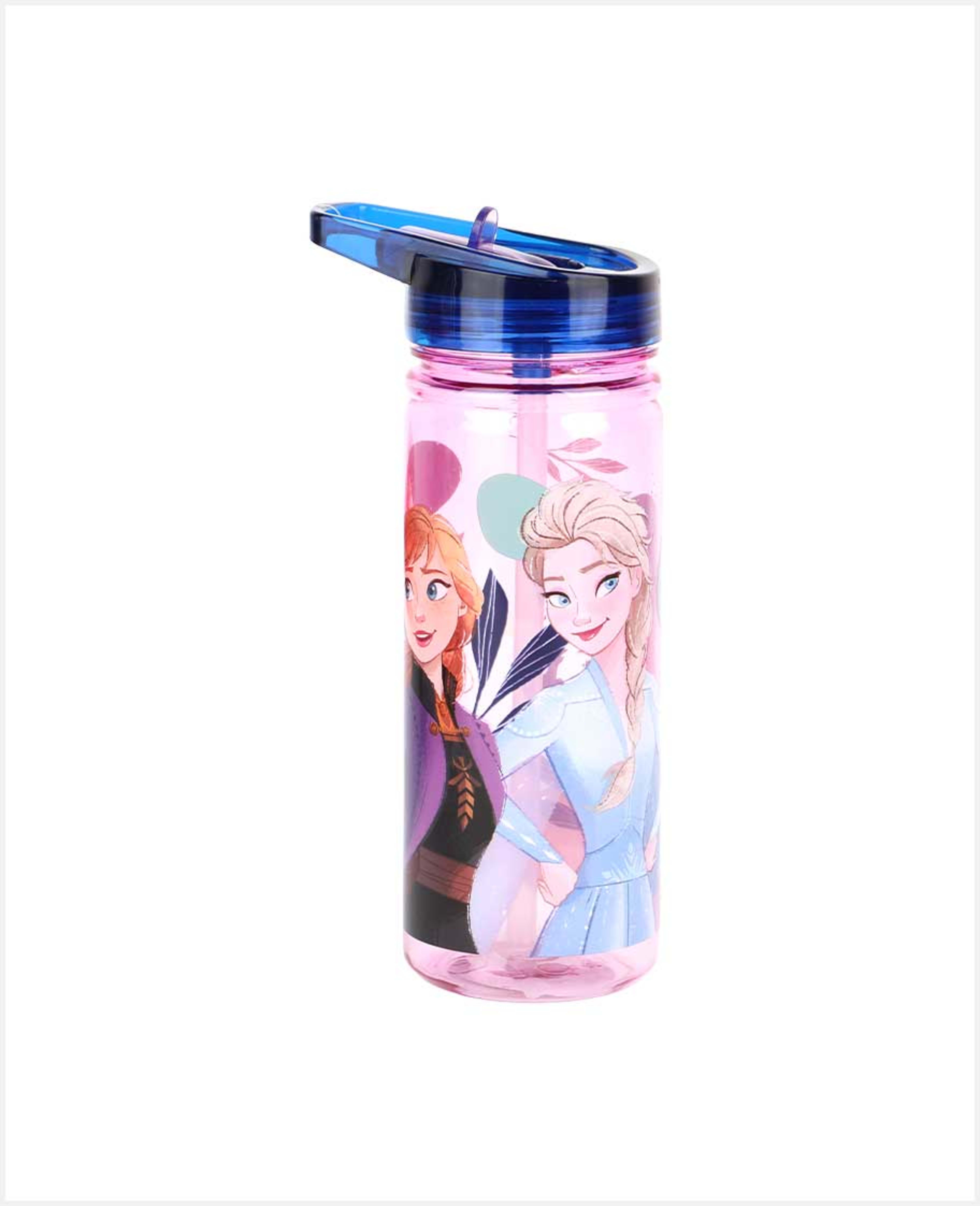 Disney Bts23 Large Ecozen Bottle Frozen Journey 580ml Rj4268