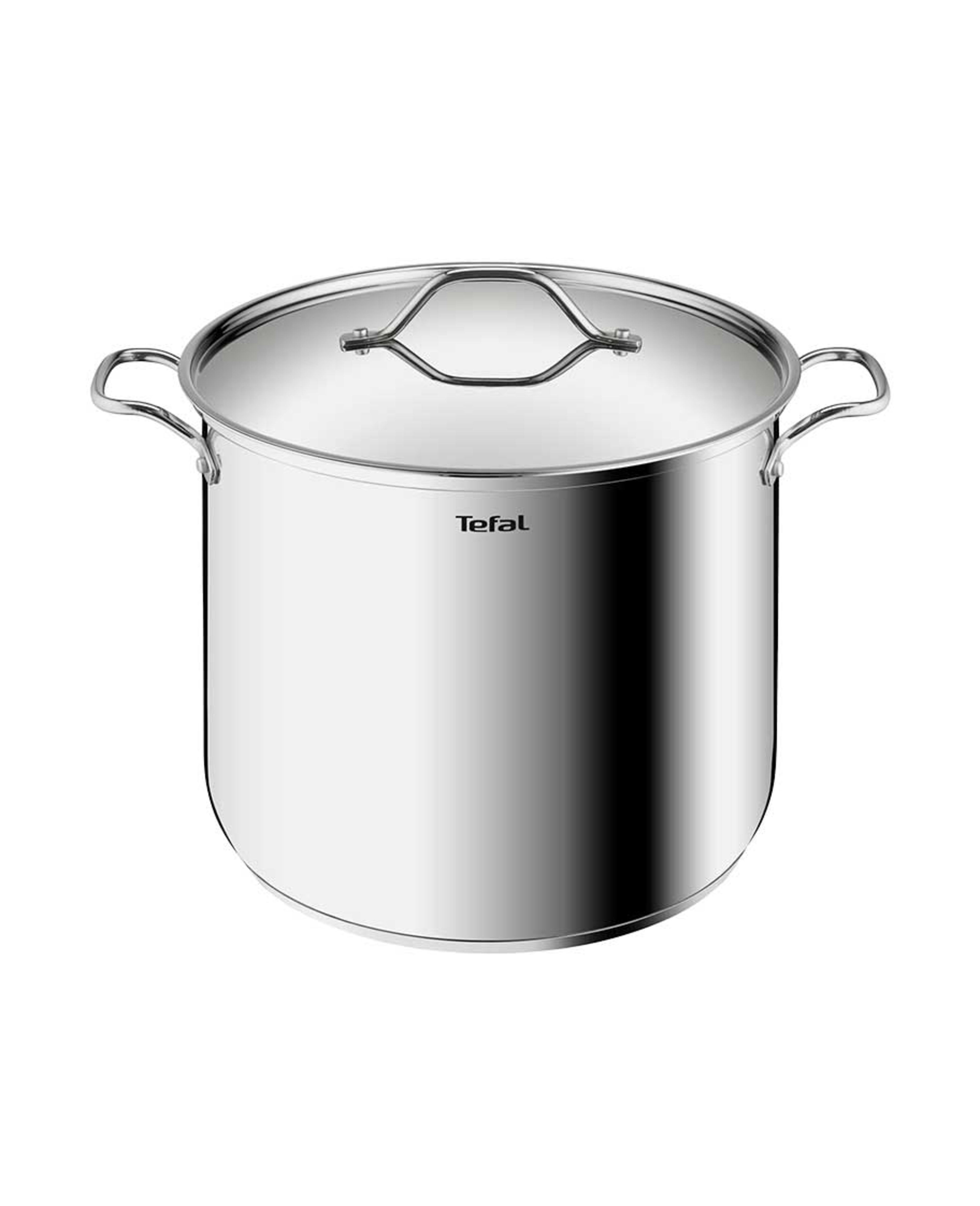 Tefal Intuition Stockpot 28cm+lid B8649004