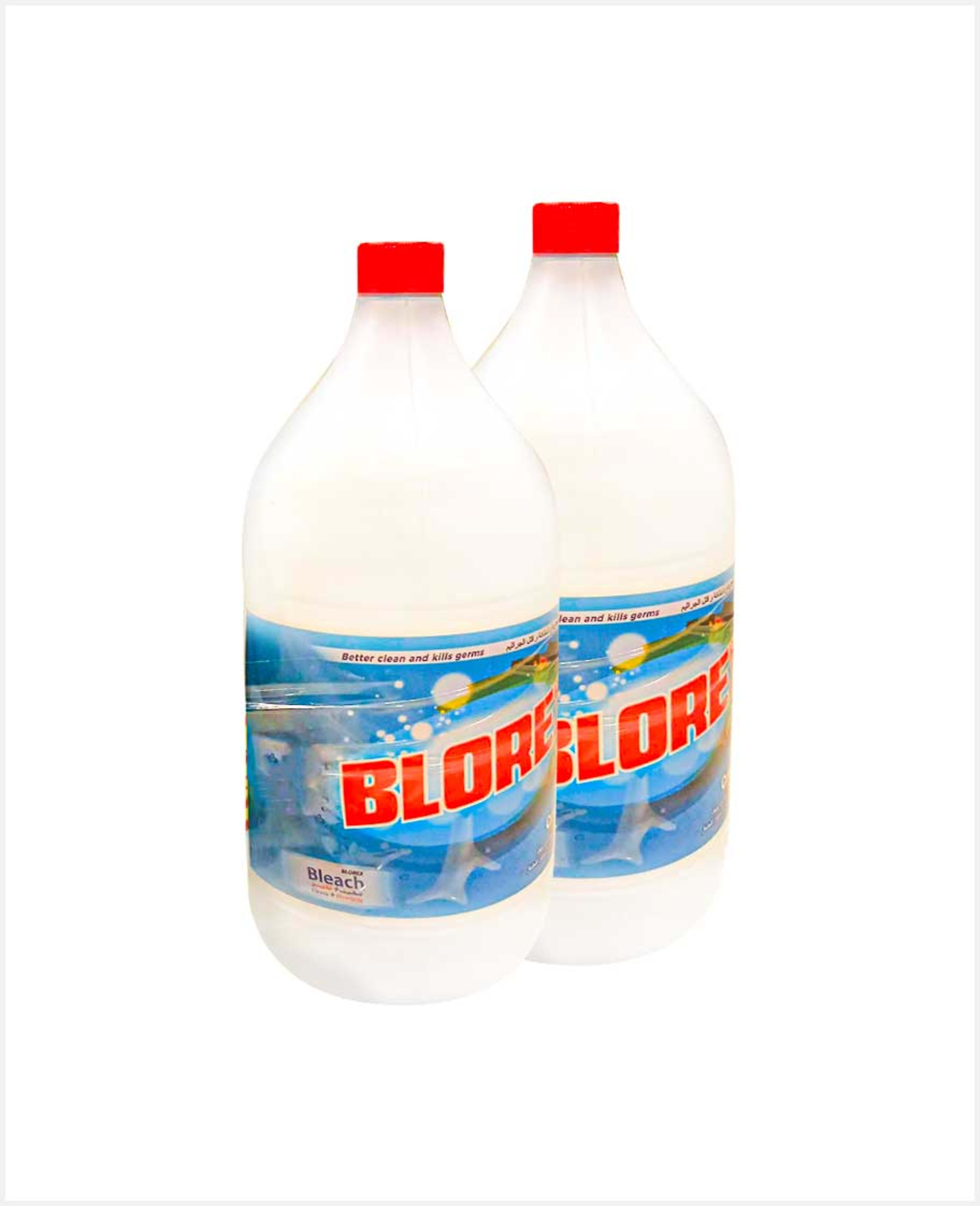 Blorex Liquid Bleach 2 X2.5ltr