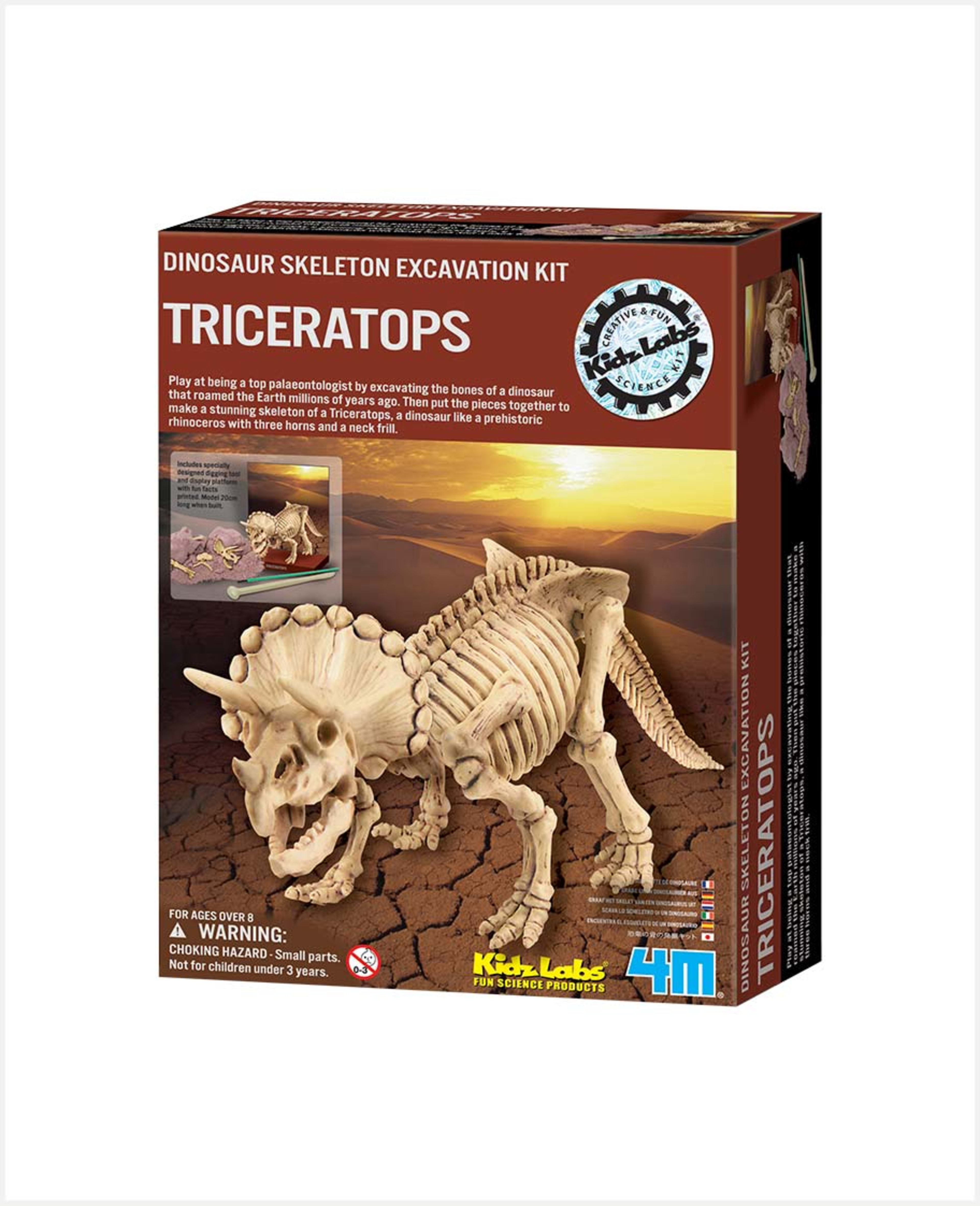 4m Triceratops Dig a Dinosaur Skeleton 00-03228